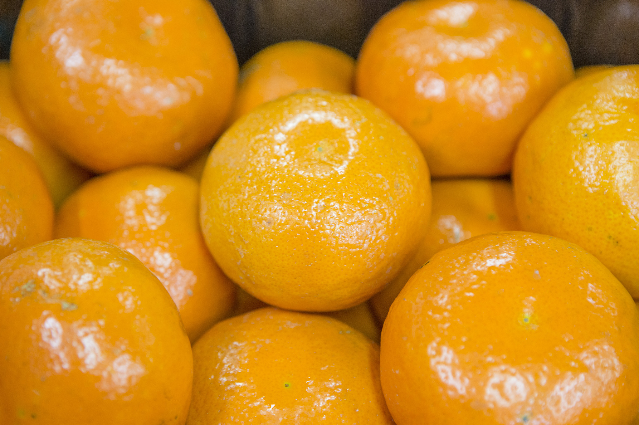 春见粑粑柑写100字左右的评价