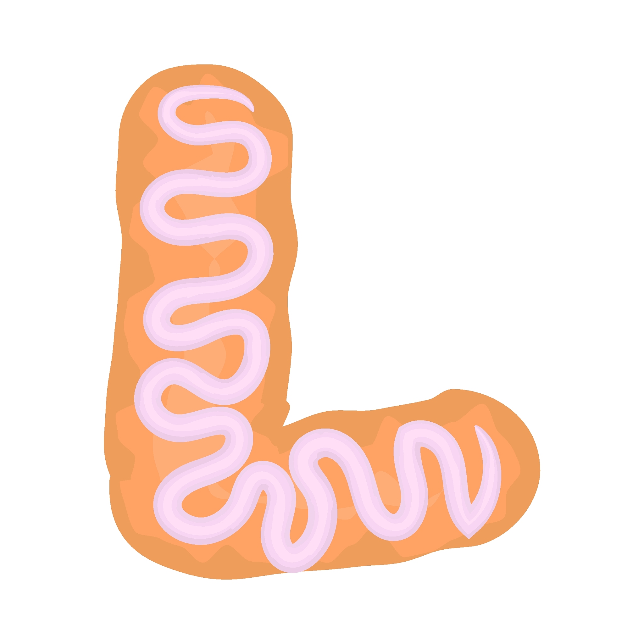 LZTU 字母组合能组成哪些单词?