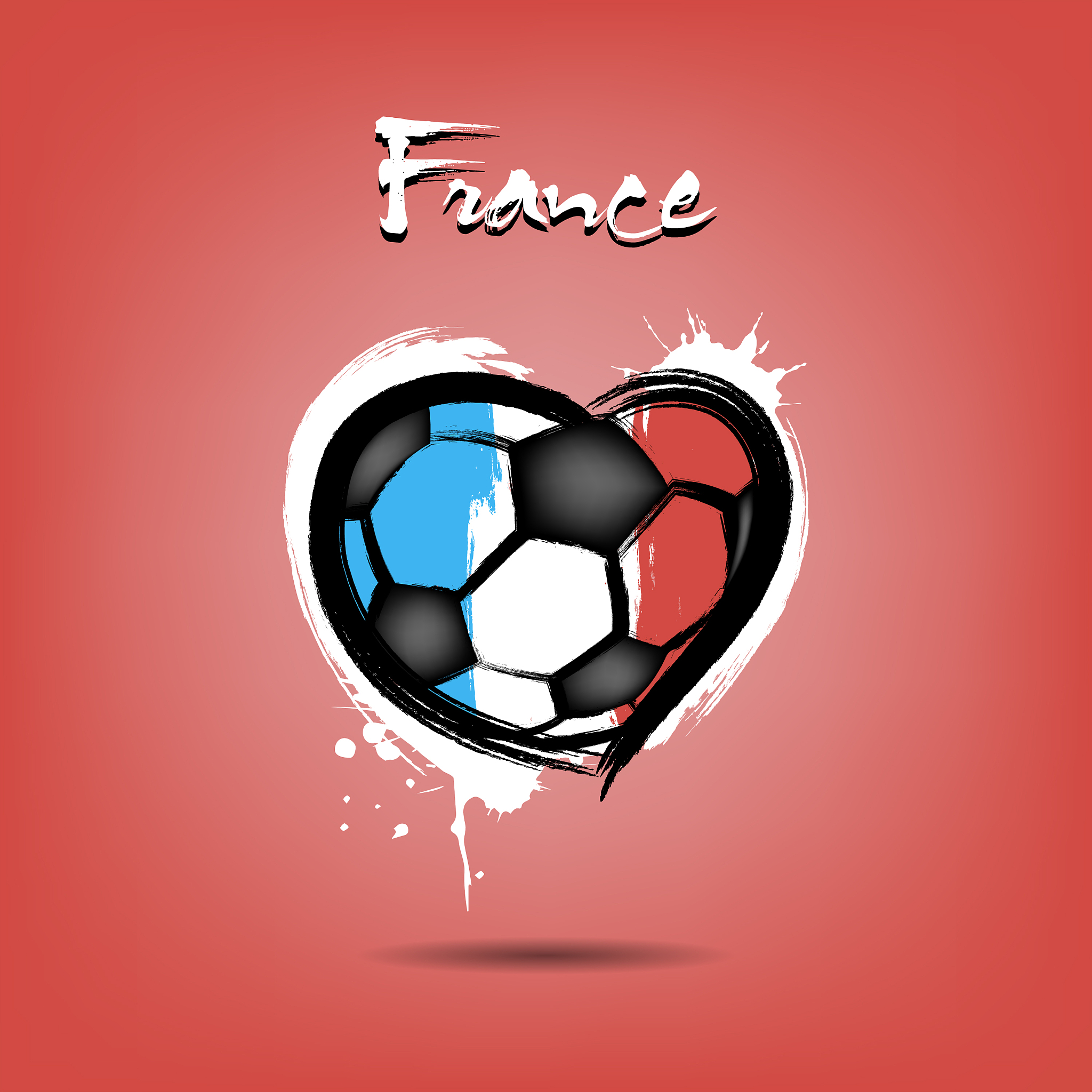 flag of france in the form of a heart