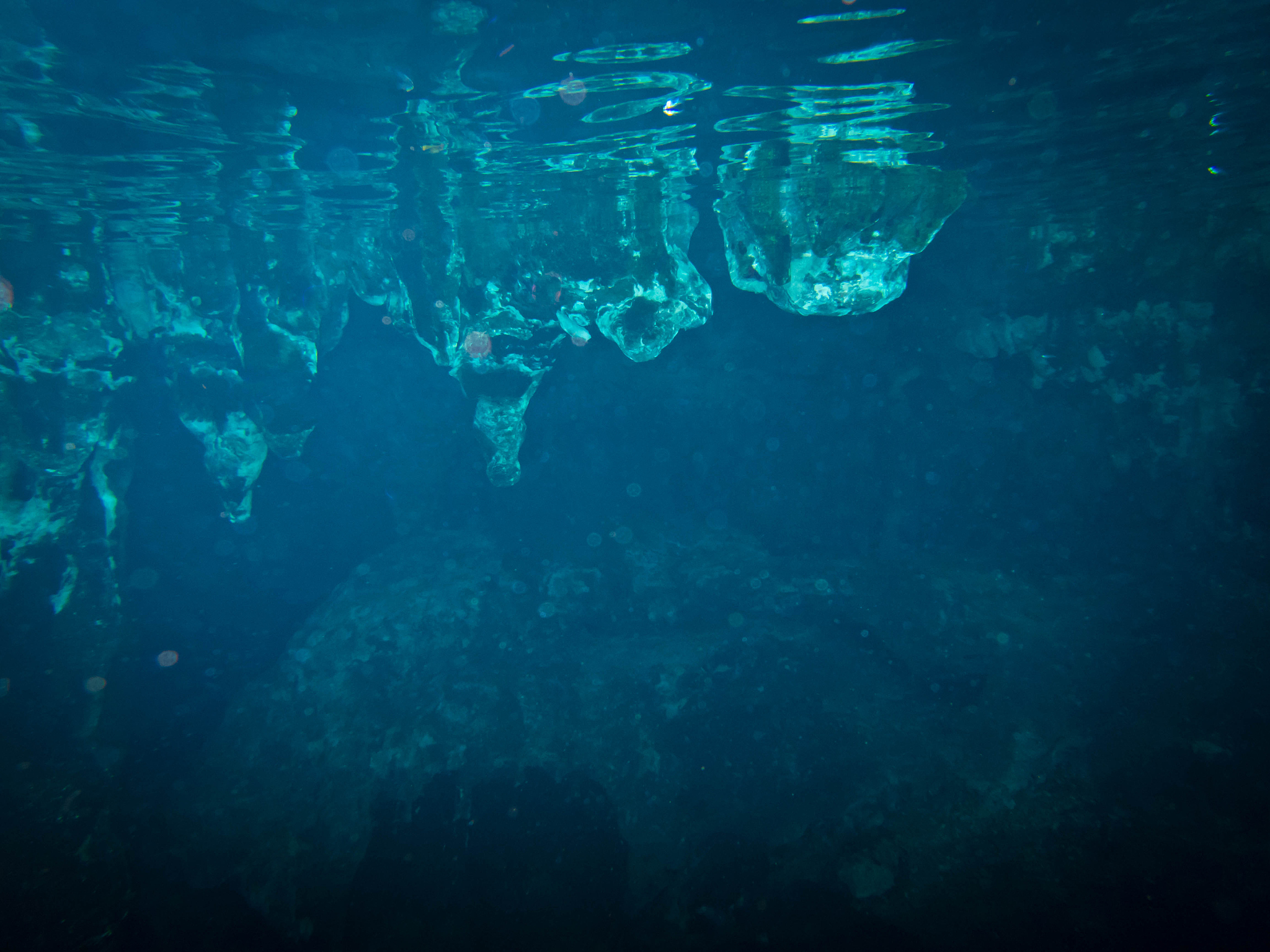 snorkeling in a cenote.