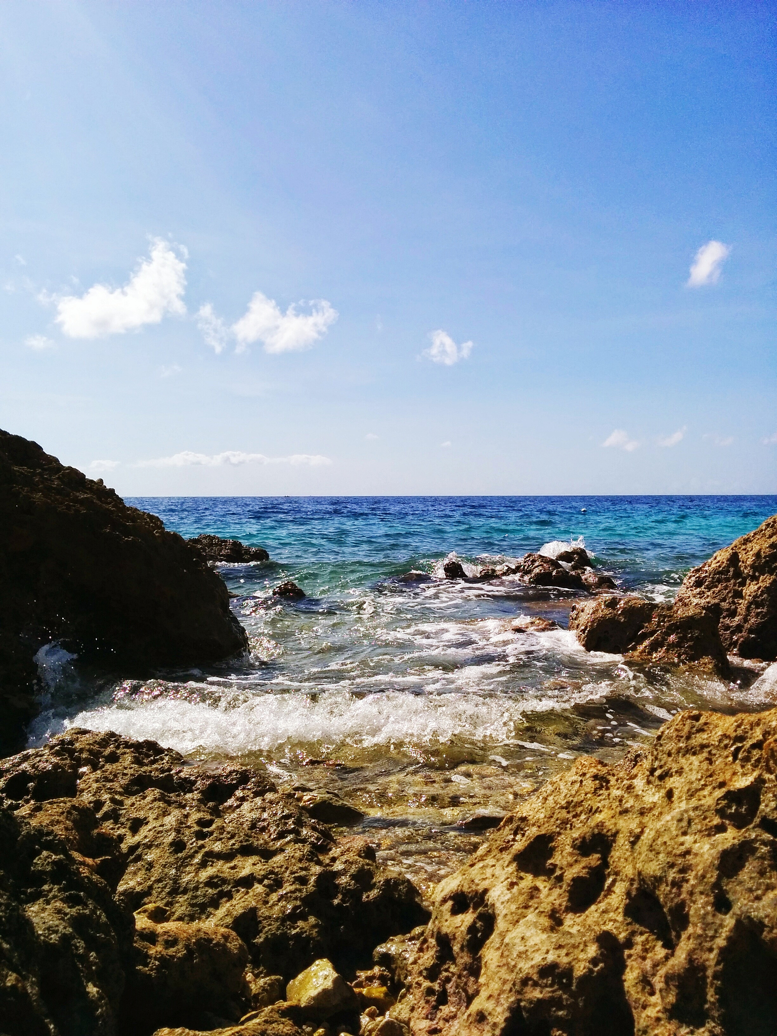 厦门海洋职业技术学院图形图像制作专业怎么样？课程设置及前景分析