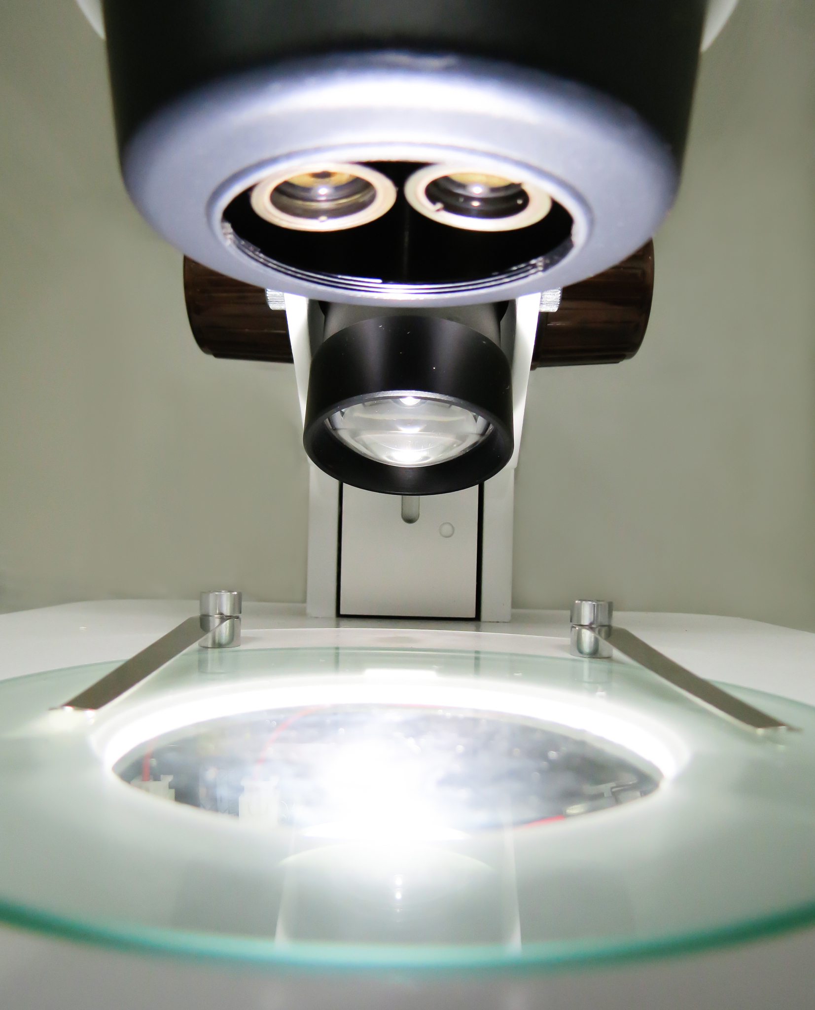 ACTA PHYSICA POLONICA A 期刊：研究范围涵盖物理学各个领域