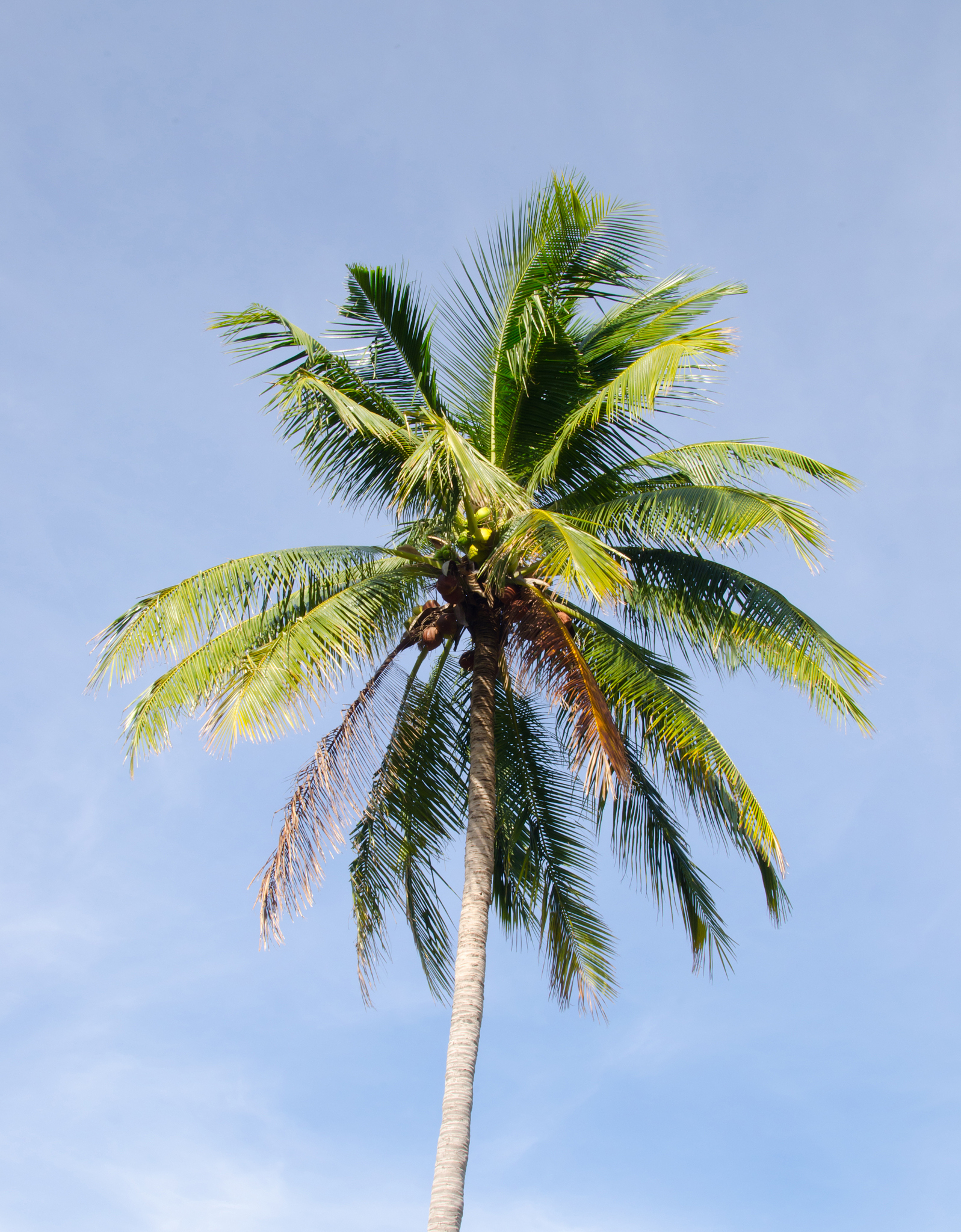 风景园林著名期刊推荐：涵盖设计、规划、生态、历史等领域