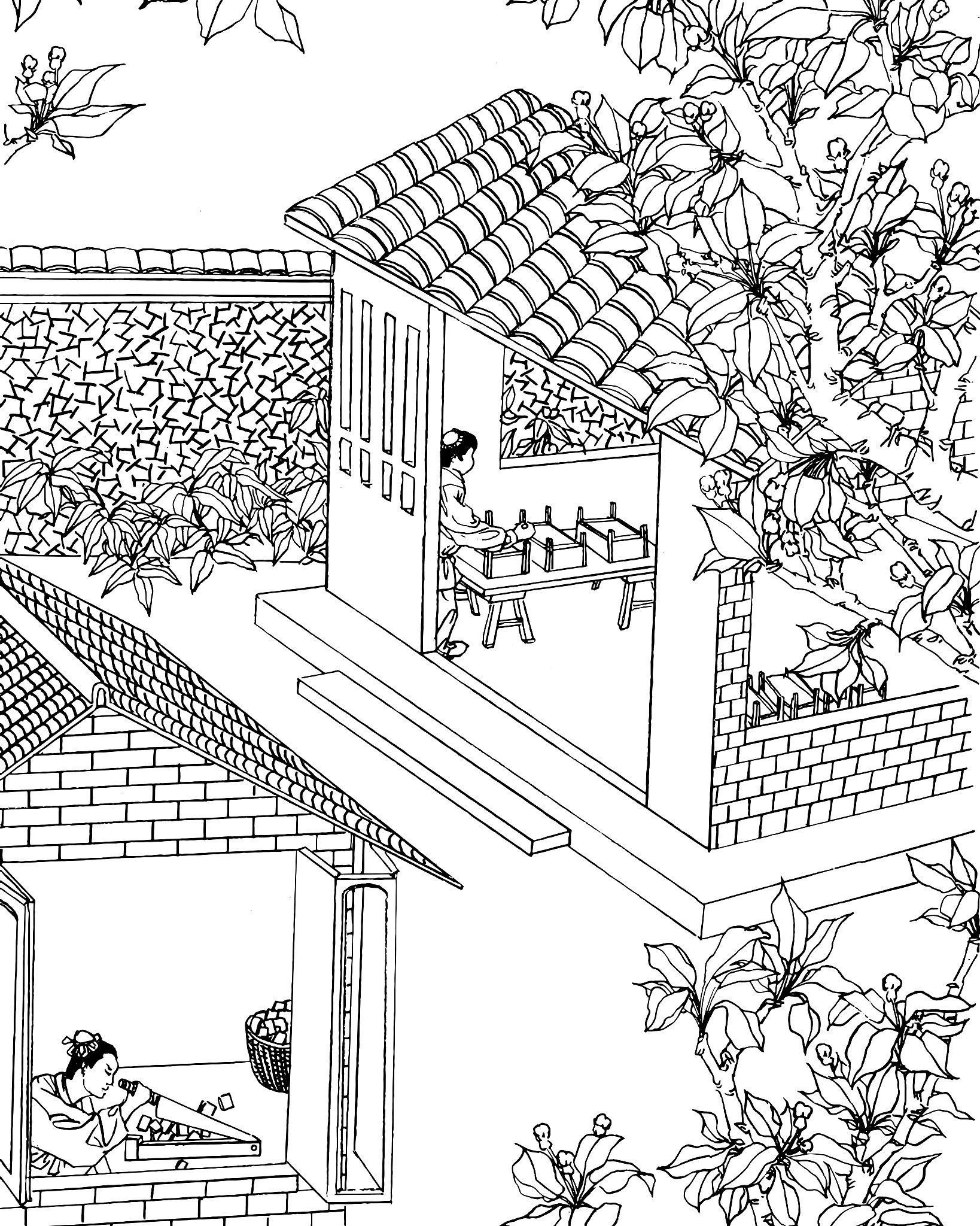 500克阿胶最佳比例配方及详细做法 - 轻松熬制美味阿胶