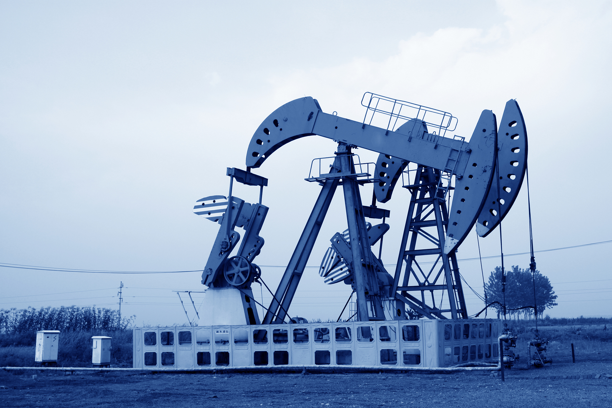 辽宁石油化工大学日语专业怎么样