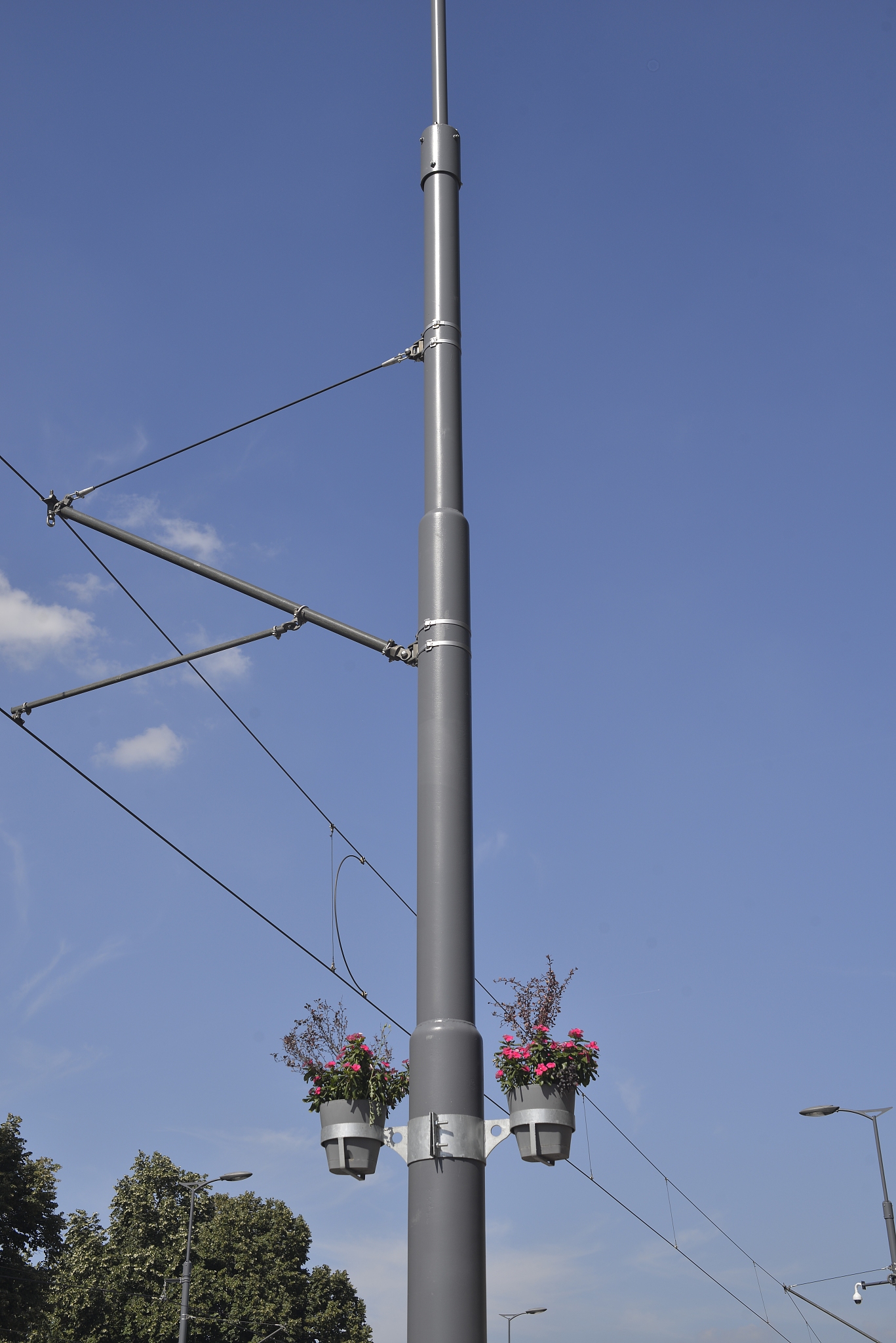 impatiens plants as a street decoration, high in the flowerpots 