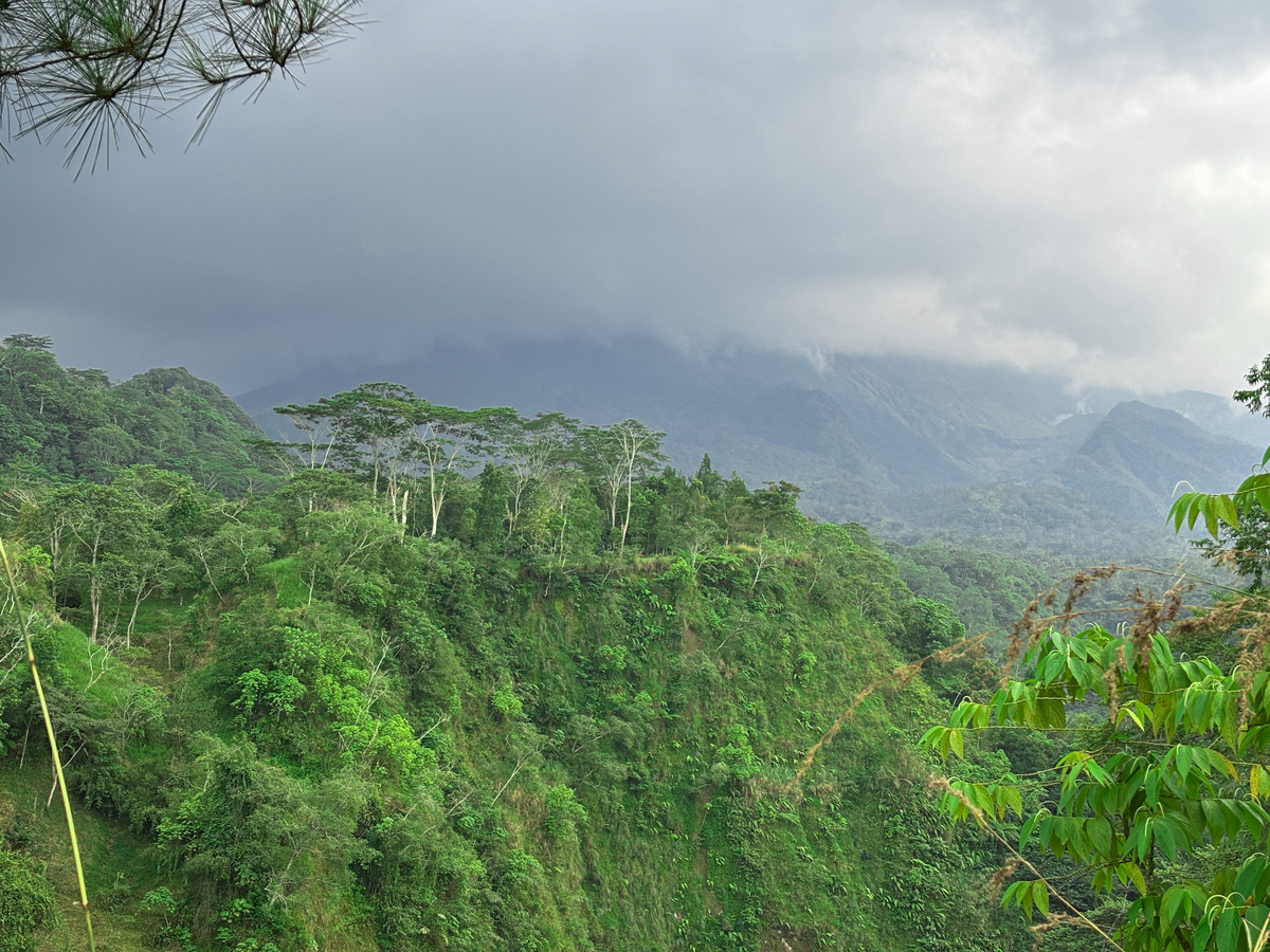中国植被水平地带性分布：从热带雨林到高山草甸