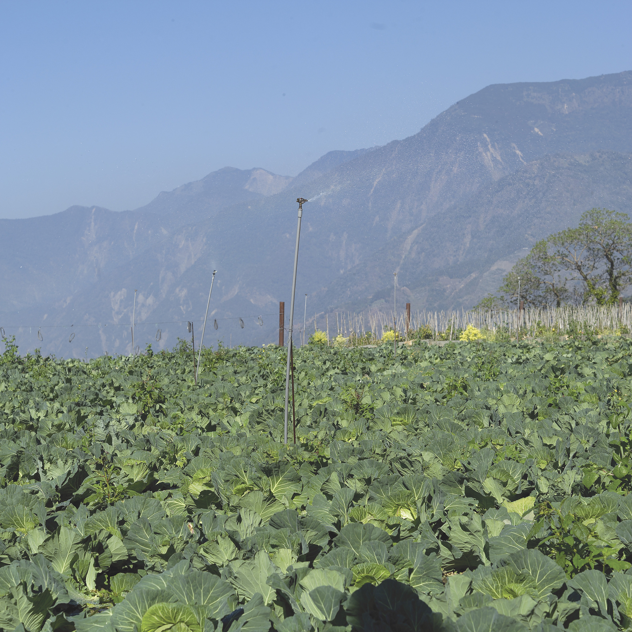 曲靖农业学校五年制高职专科热门招生专业 - 培养现代农业人才