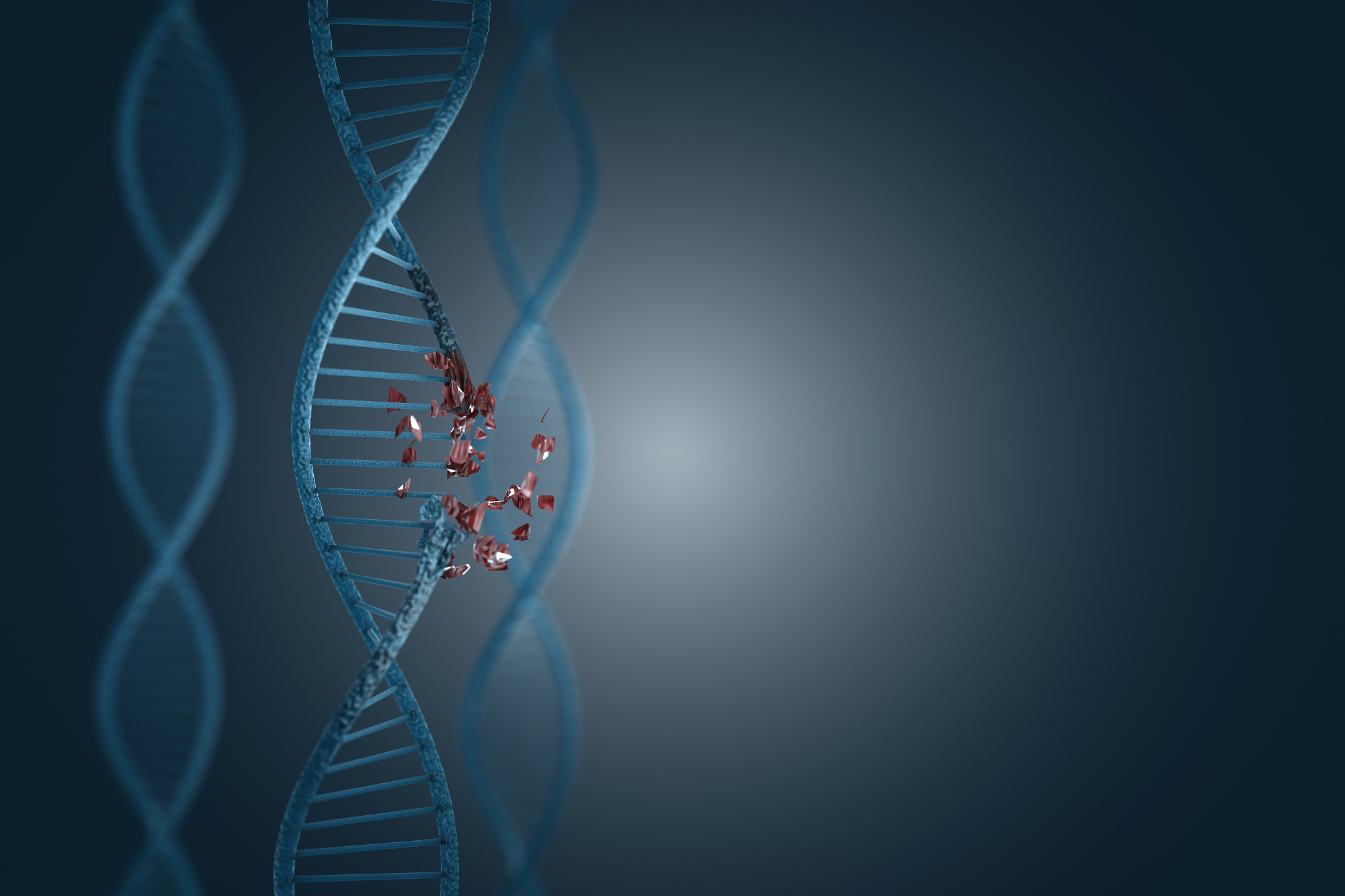 基因概念的演变：从经典遗传学到分子遗传学