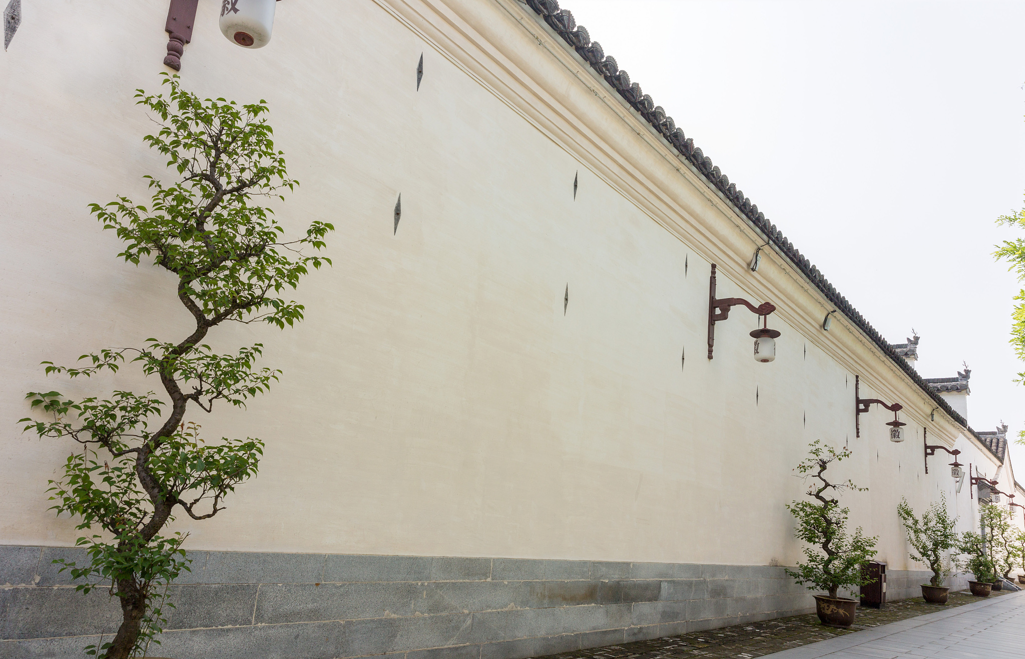 起10个谐音的安徽访谈类节目名称