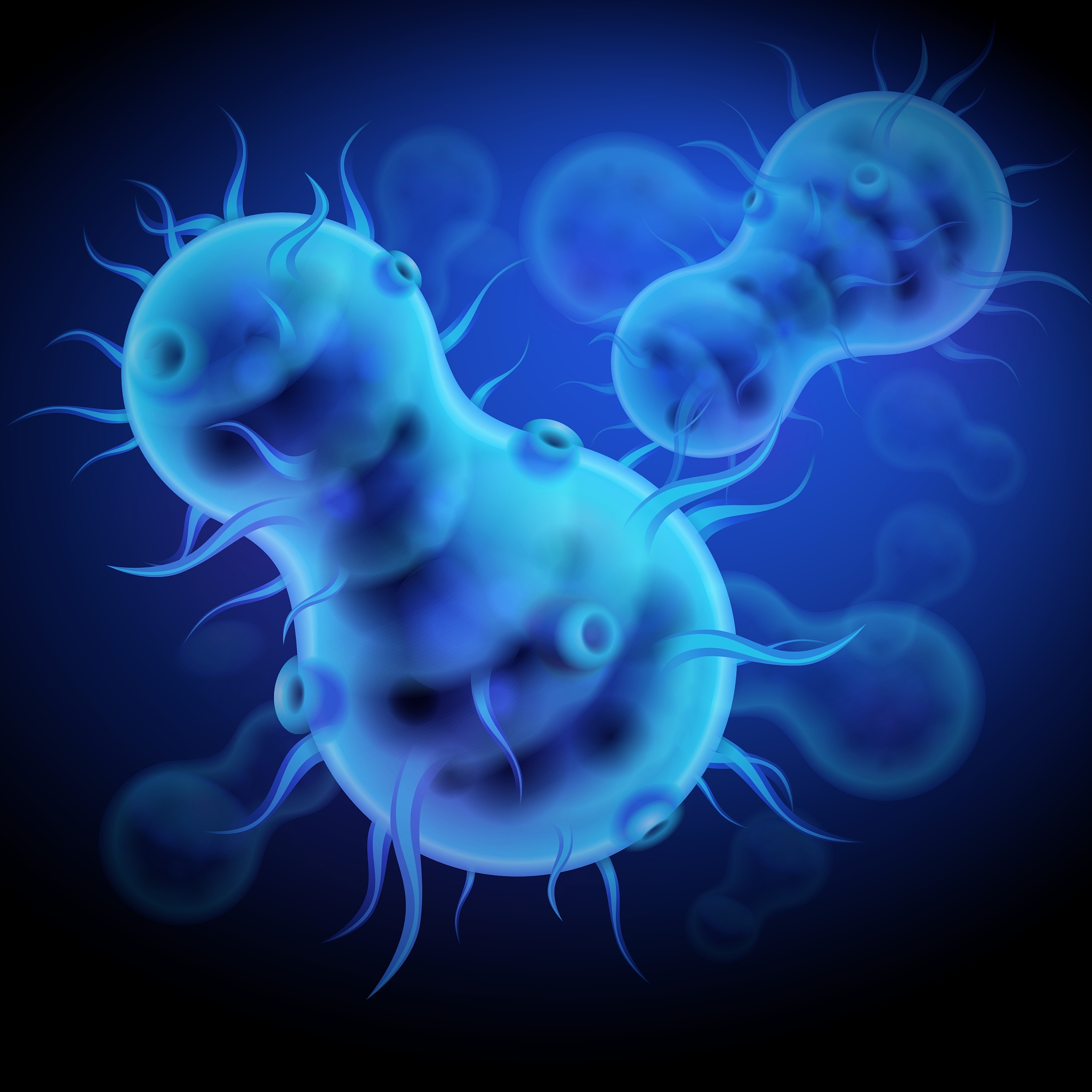 染色体变异类型：数量、结构、点突变、远缘杂交和重复序列扩张