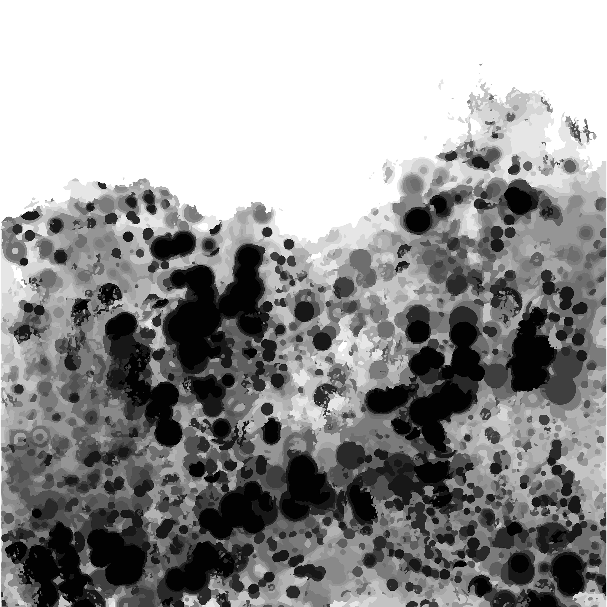 共鸣：一首关于团结的摇滚歌曲