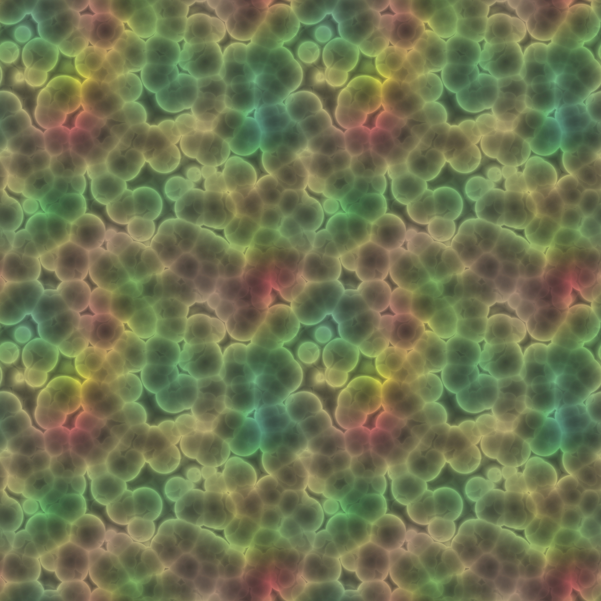 4如何区分放线菌和细菌宏观和微观