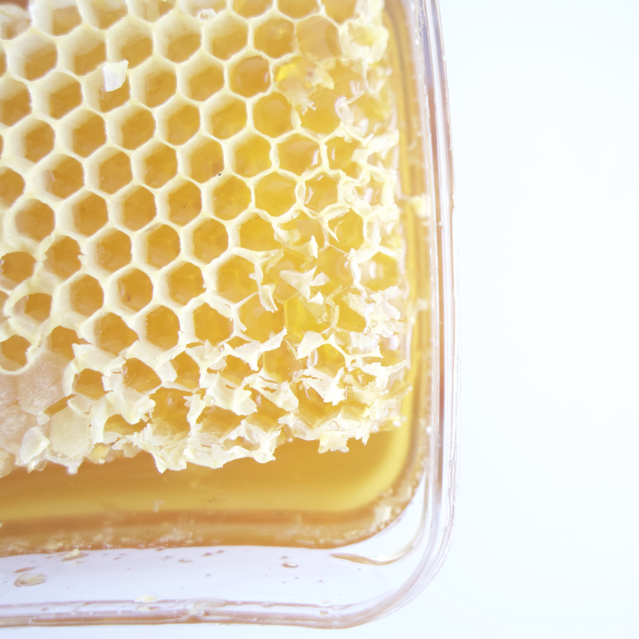 真蜂蜜 vs 假蜂蜜：如何辨别真假蜂蜜？