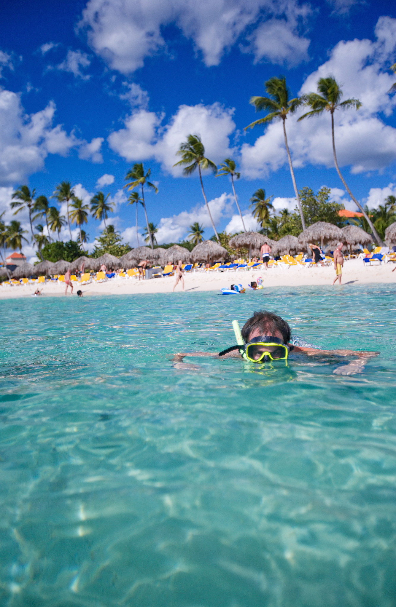 man snorkeling off tropical beach, dominican republic