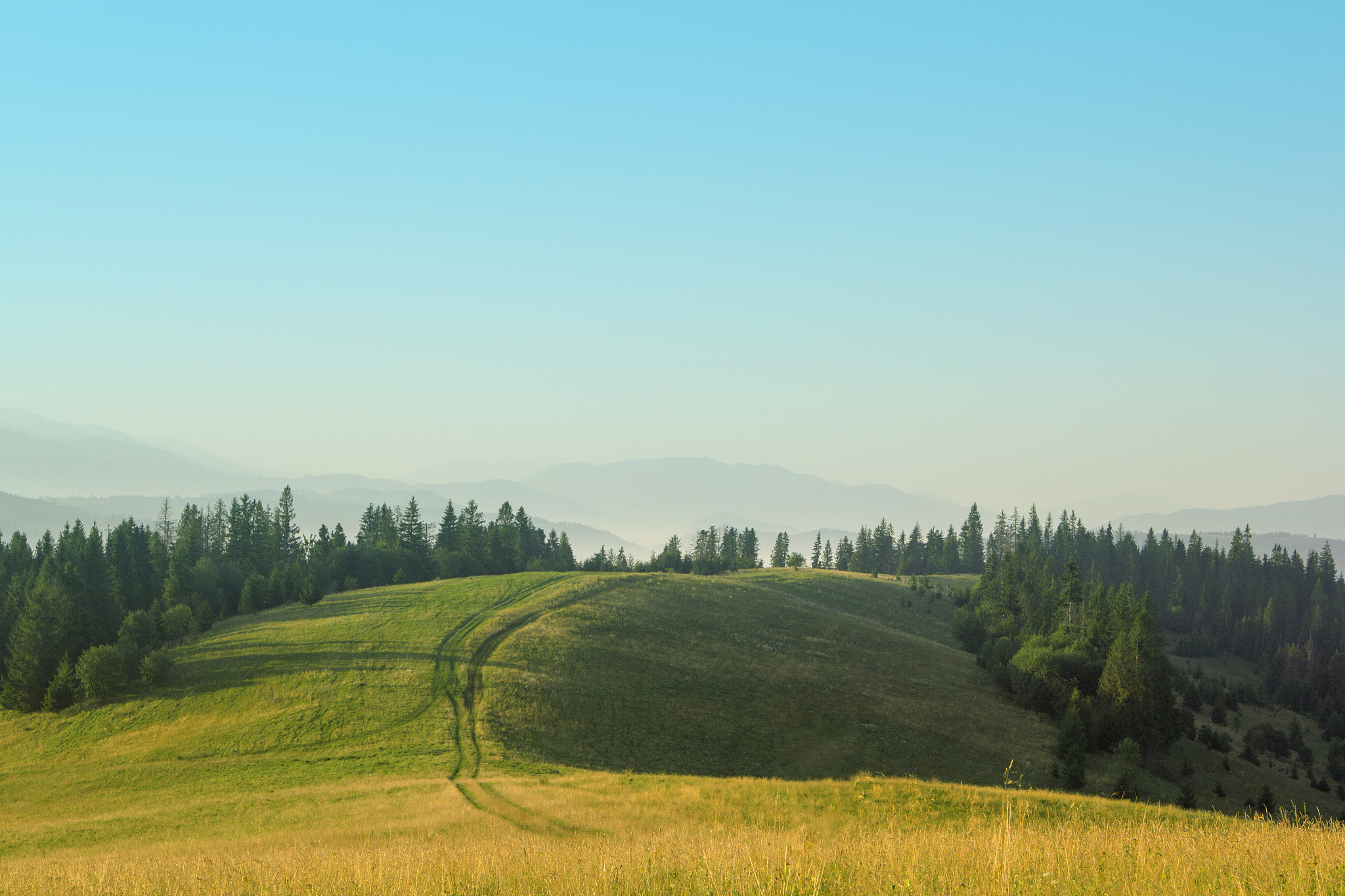 beautiful morning landscape in the mountains. country road in th