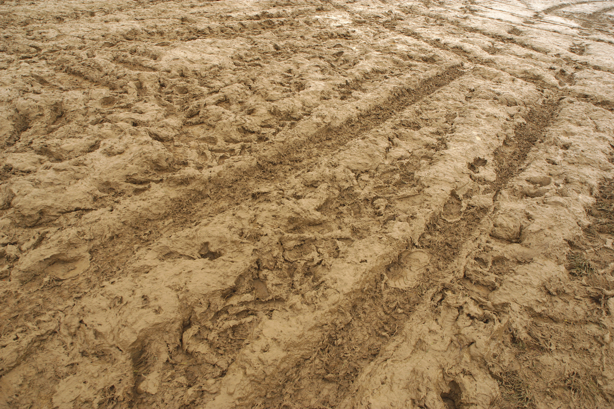close-up of tire tracks in mud