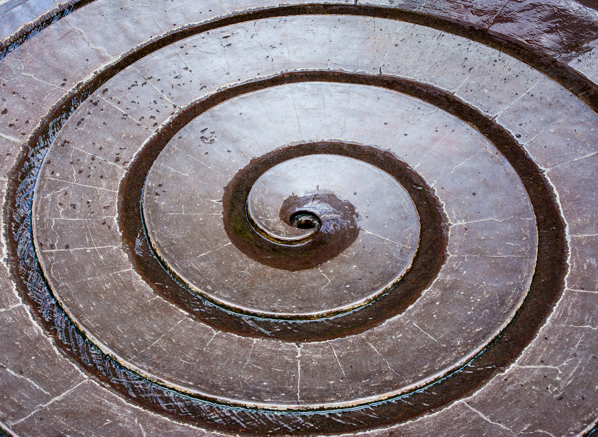 大自然隐藏的奇妙规律：黄金分割、斐波那契数列、自然循环和生命多样性