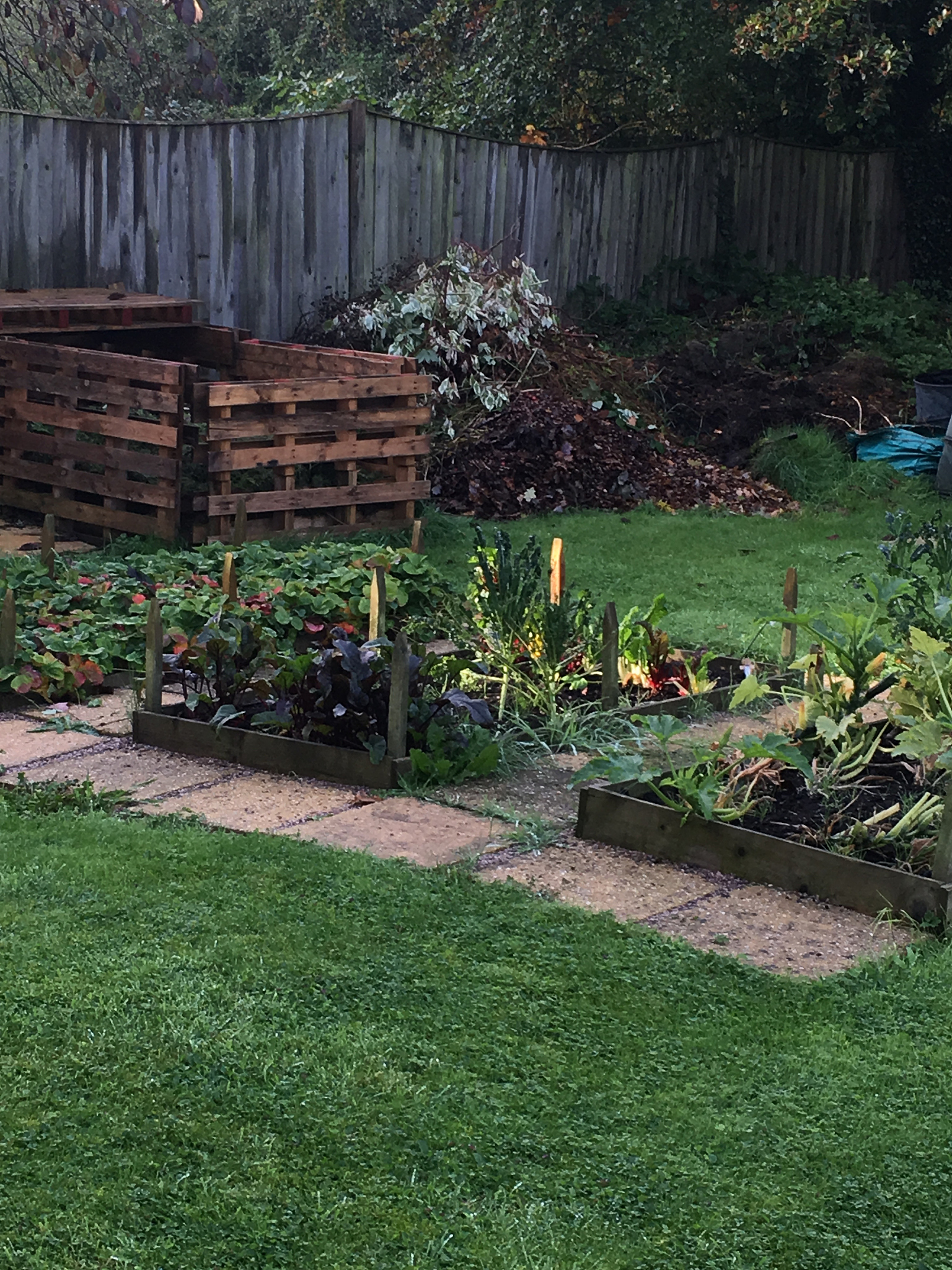mulch bed