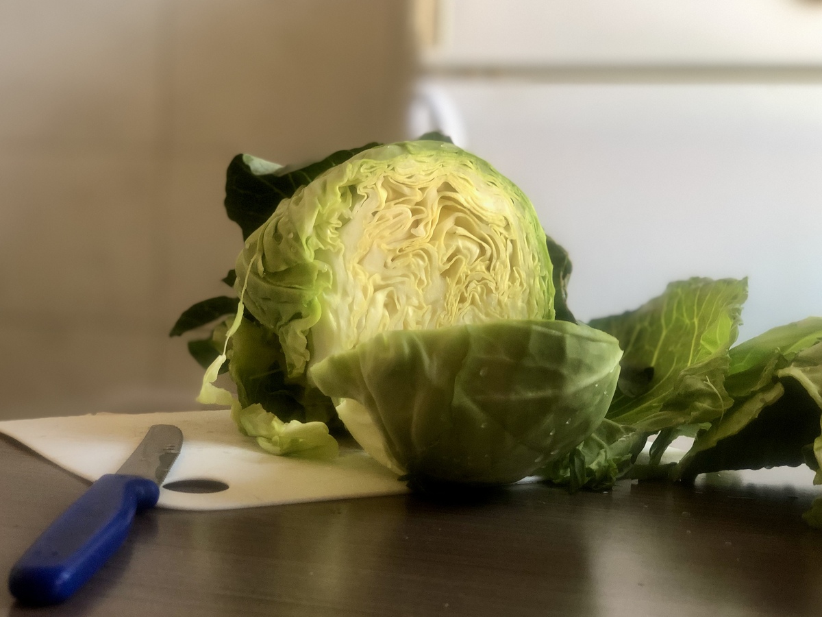 白菜过夜能吃吗