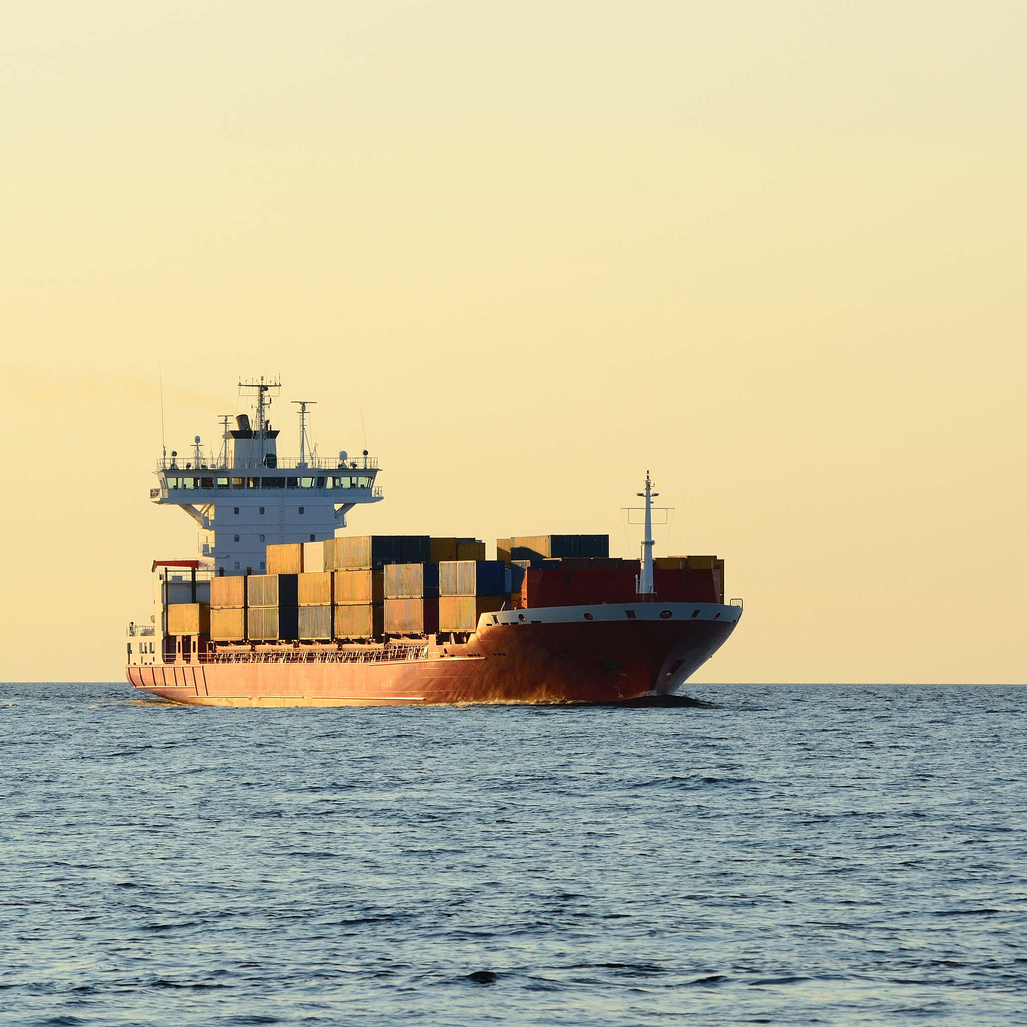 Water Damage Found Inside Packaging and on Cargo