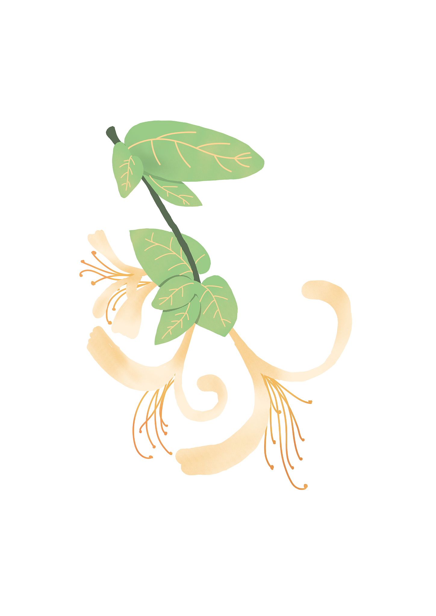 广州轻工职业学校2023年招生专业有哪些