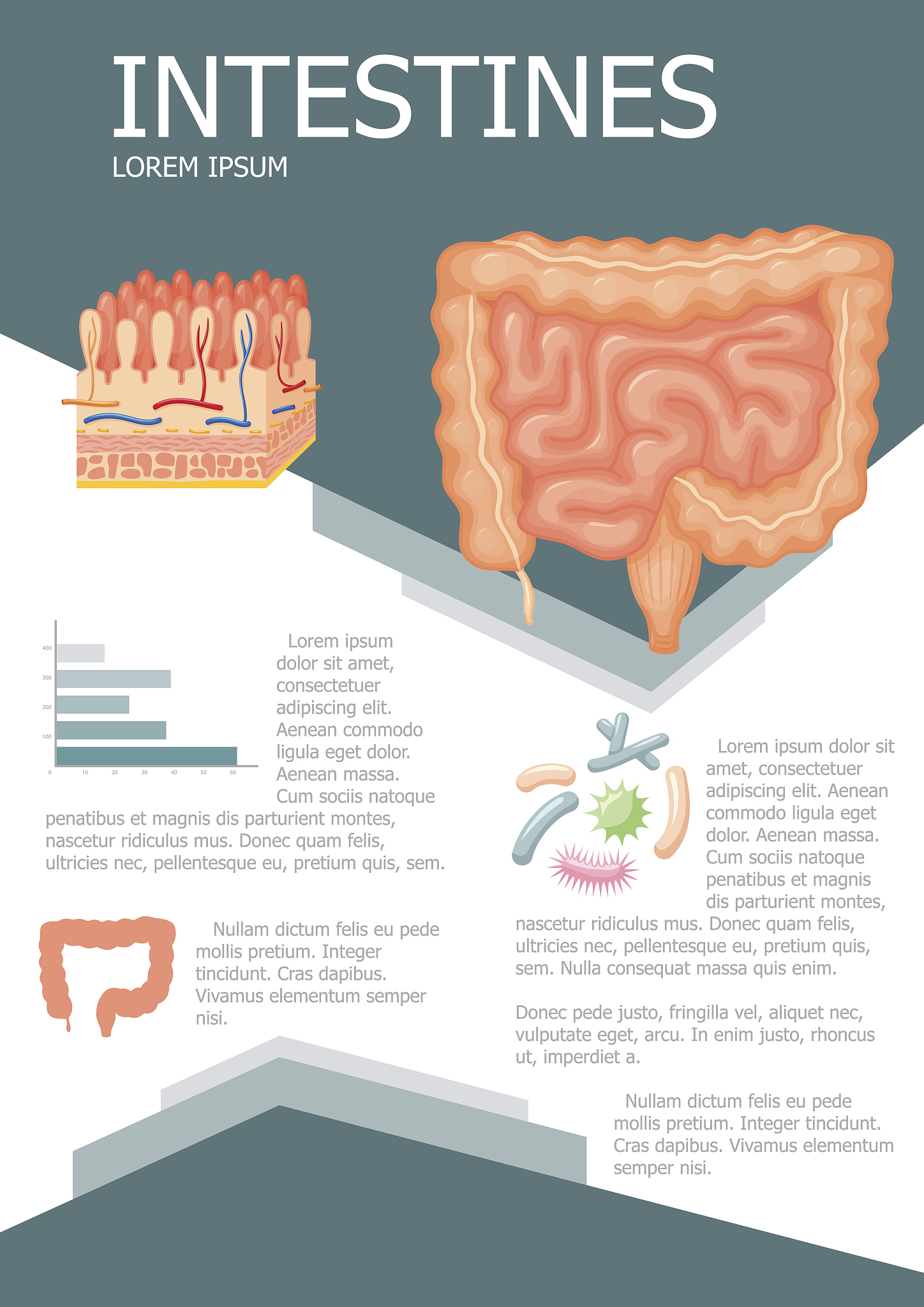 检索中国知网、万方、维普、中国生物医学、Pubmed、Embase、CochraneLibrary数据库检索关键词包括直肠癌rectal cancer、前切除术low anterior resectionLAR、造口stoma等以主题词加自由词相结合的方式进行检索检索时间至2023年2月24日。根据所查文献及有关综述的参考文献进行进一步查找最大限度地纳入相关文献。