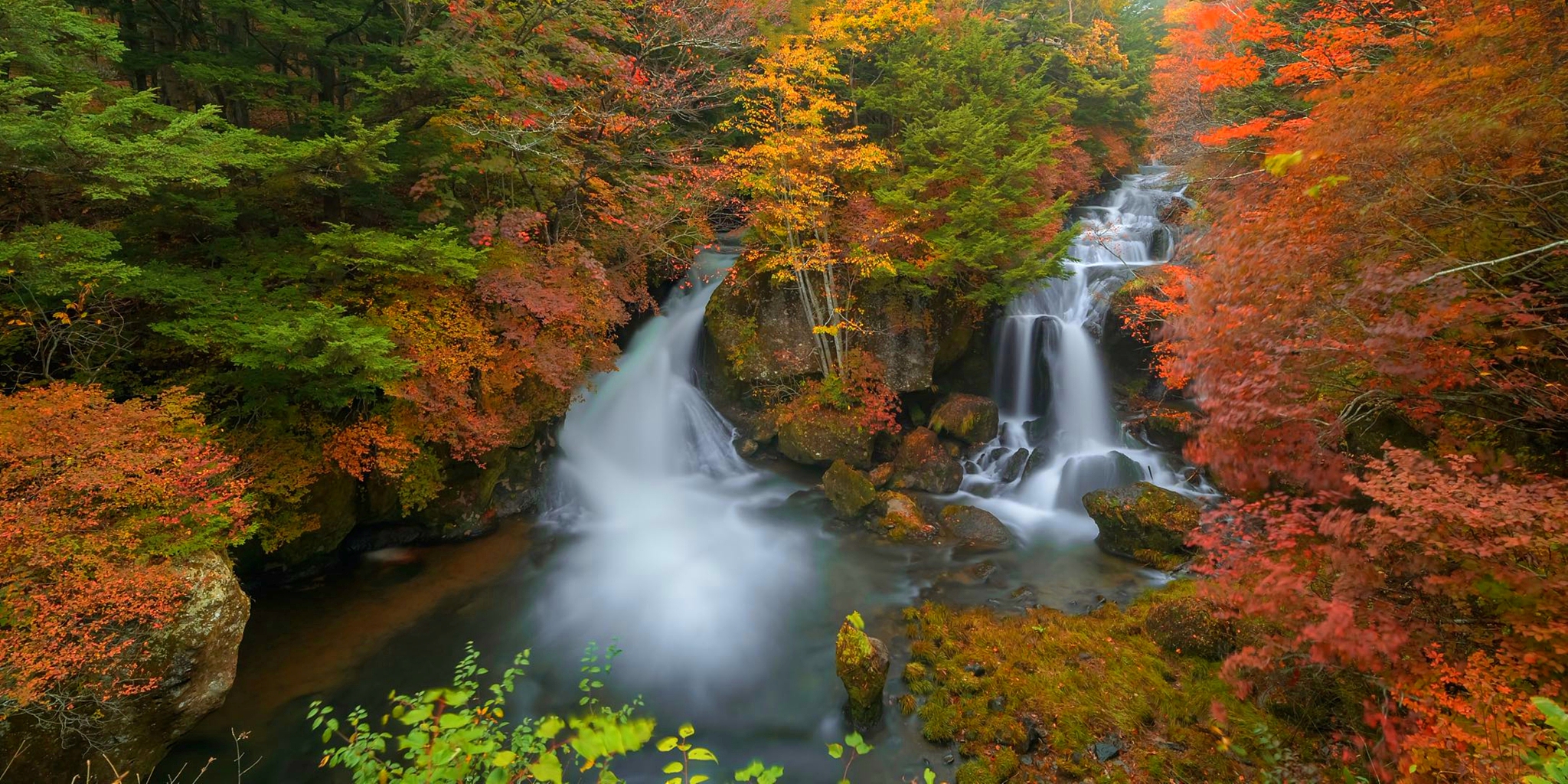 宋词上阙写景下阙抒情