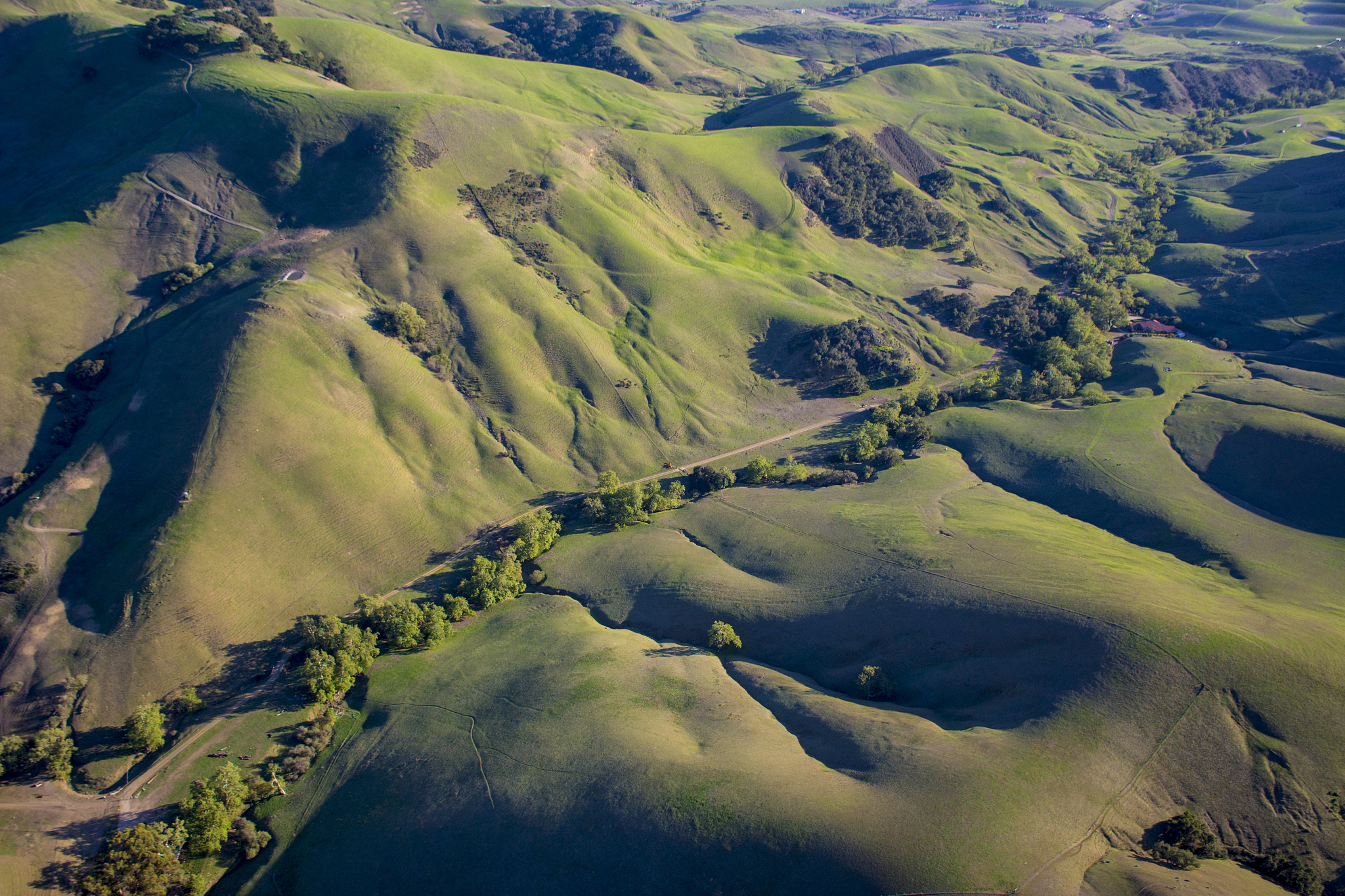 coastal hills