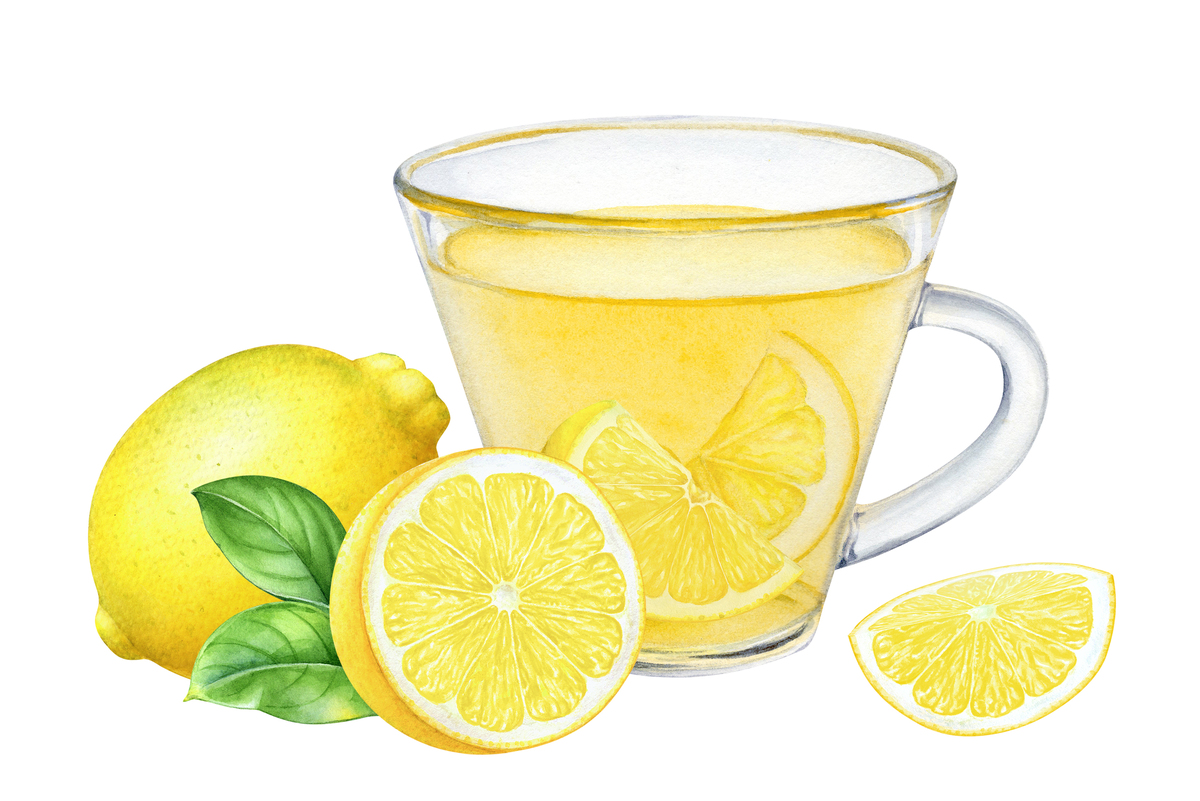 简易柠檬茶的做法_简易柠檬茶怎么做
