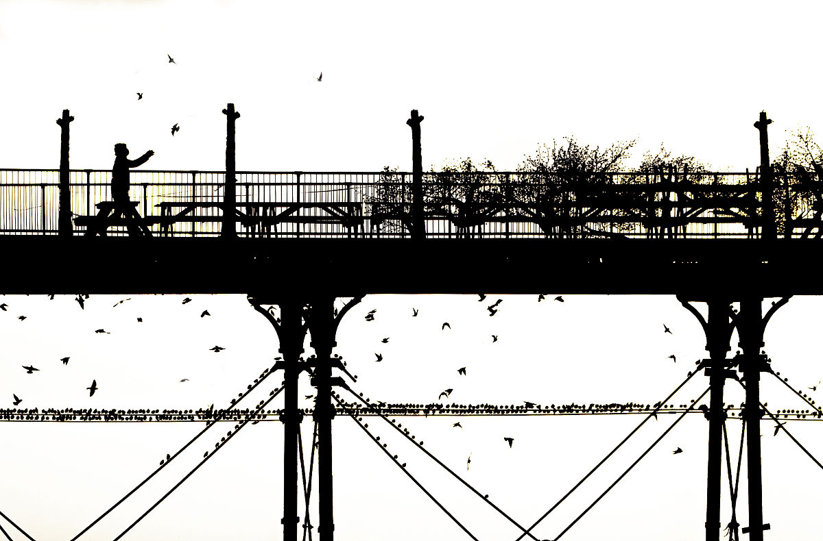 改写下面一段话，降低论文查重率
以预应力连续刚构桥为研究对象，对桥梁施工阶段多目标风险评估方法进行了研究