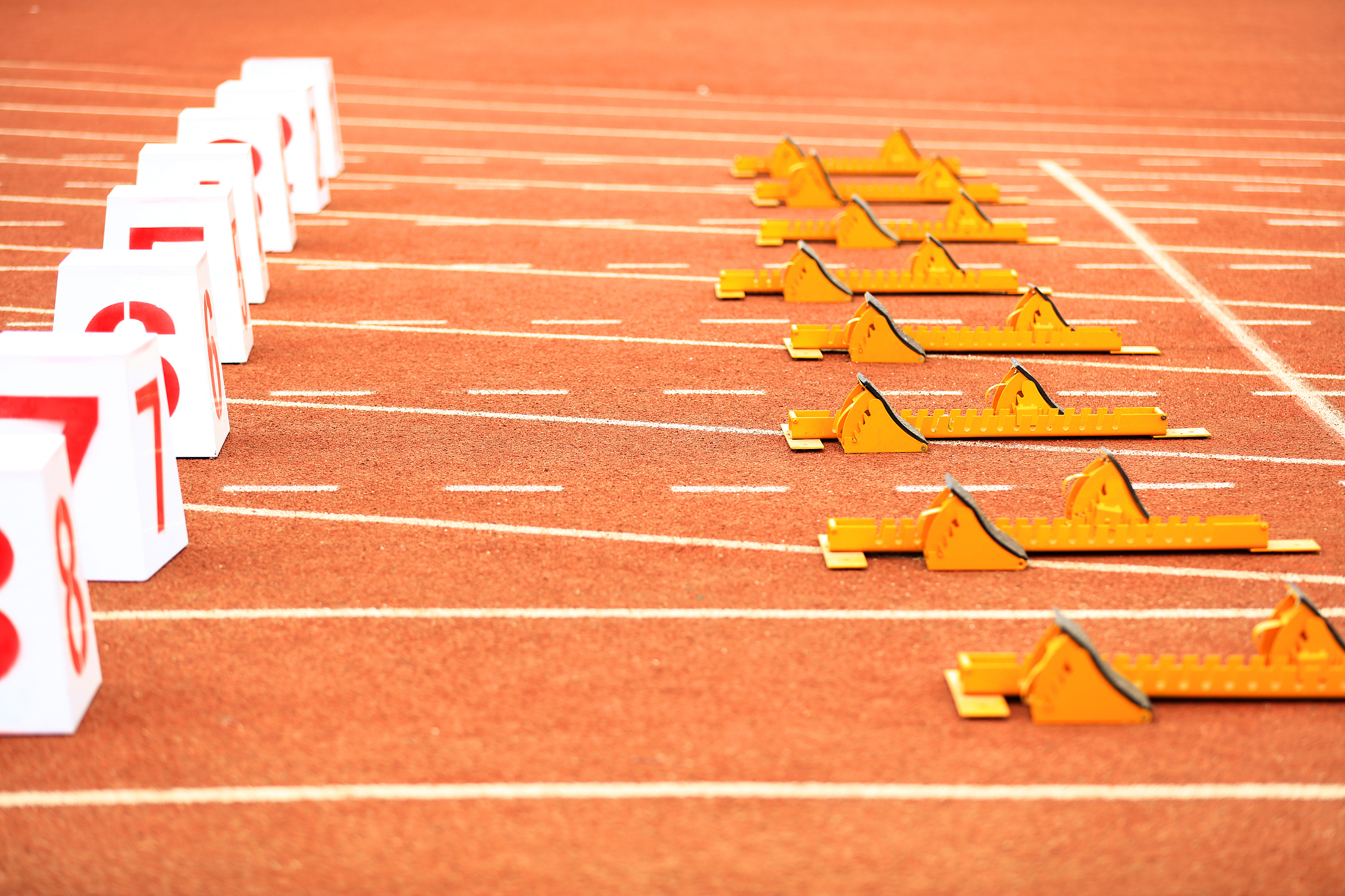 辽宁理工职业学院五年制大专药剂专业：专业解析与选择指南