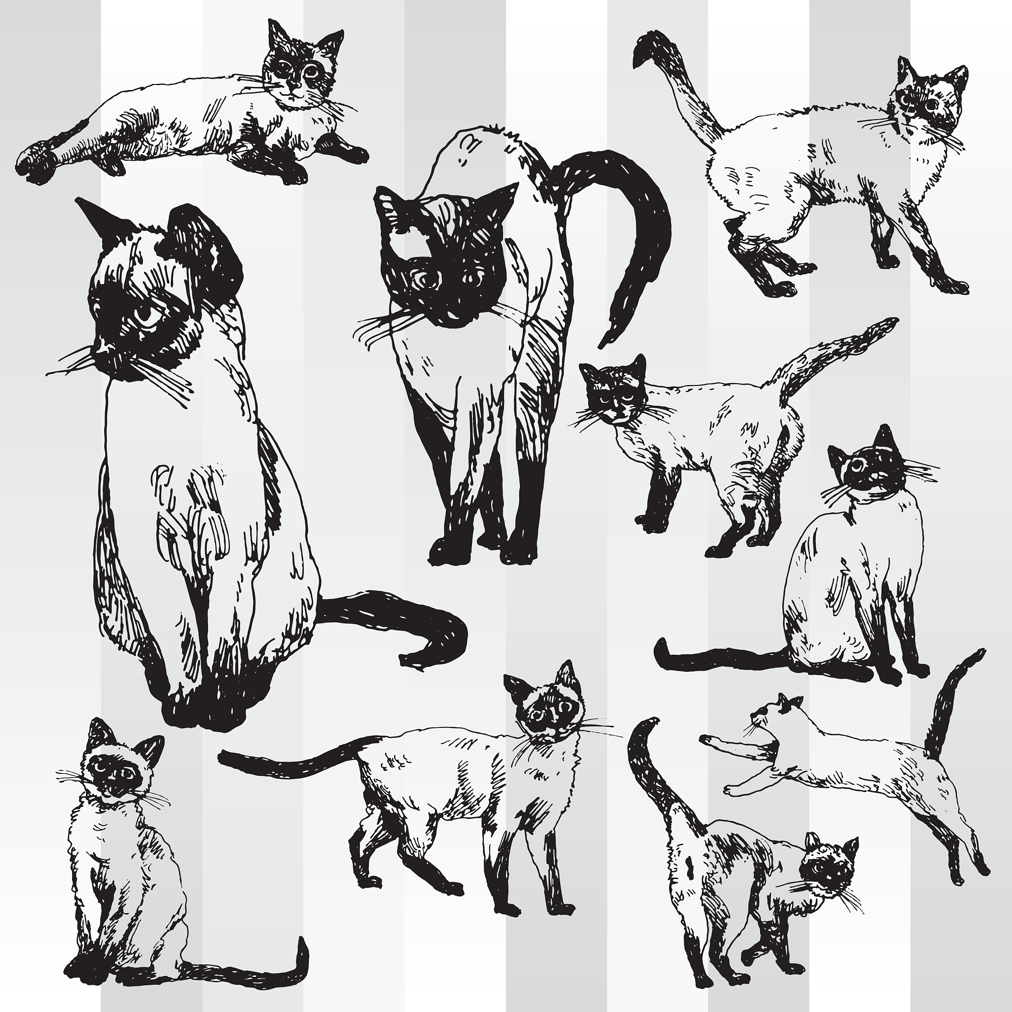 仿写《猫》第二自然段