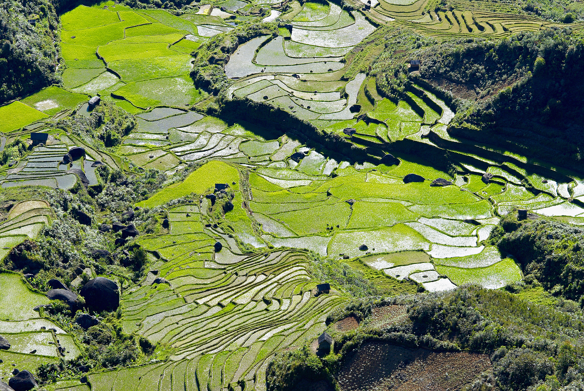 madagascar, rice fields on hills, elevated view