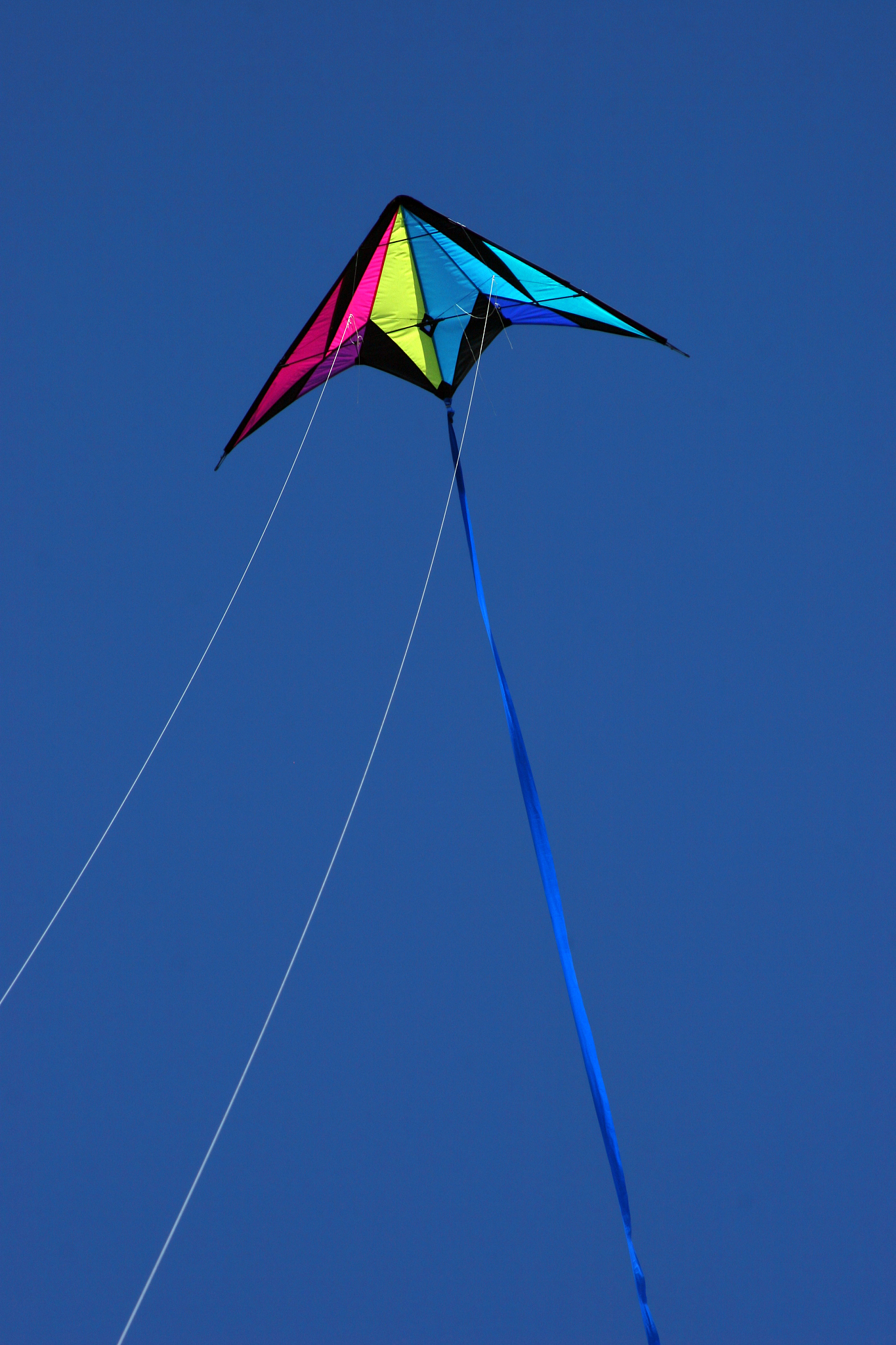 kite flying high
