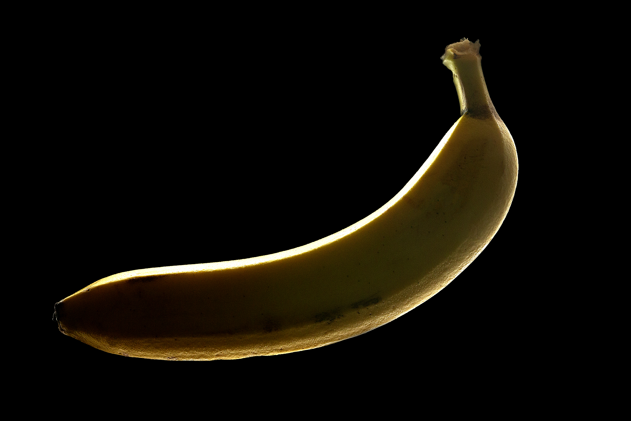 香蕉排便是真的吗，