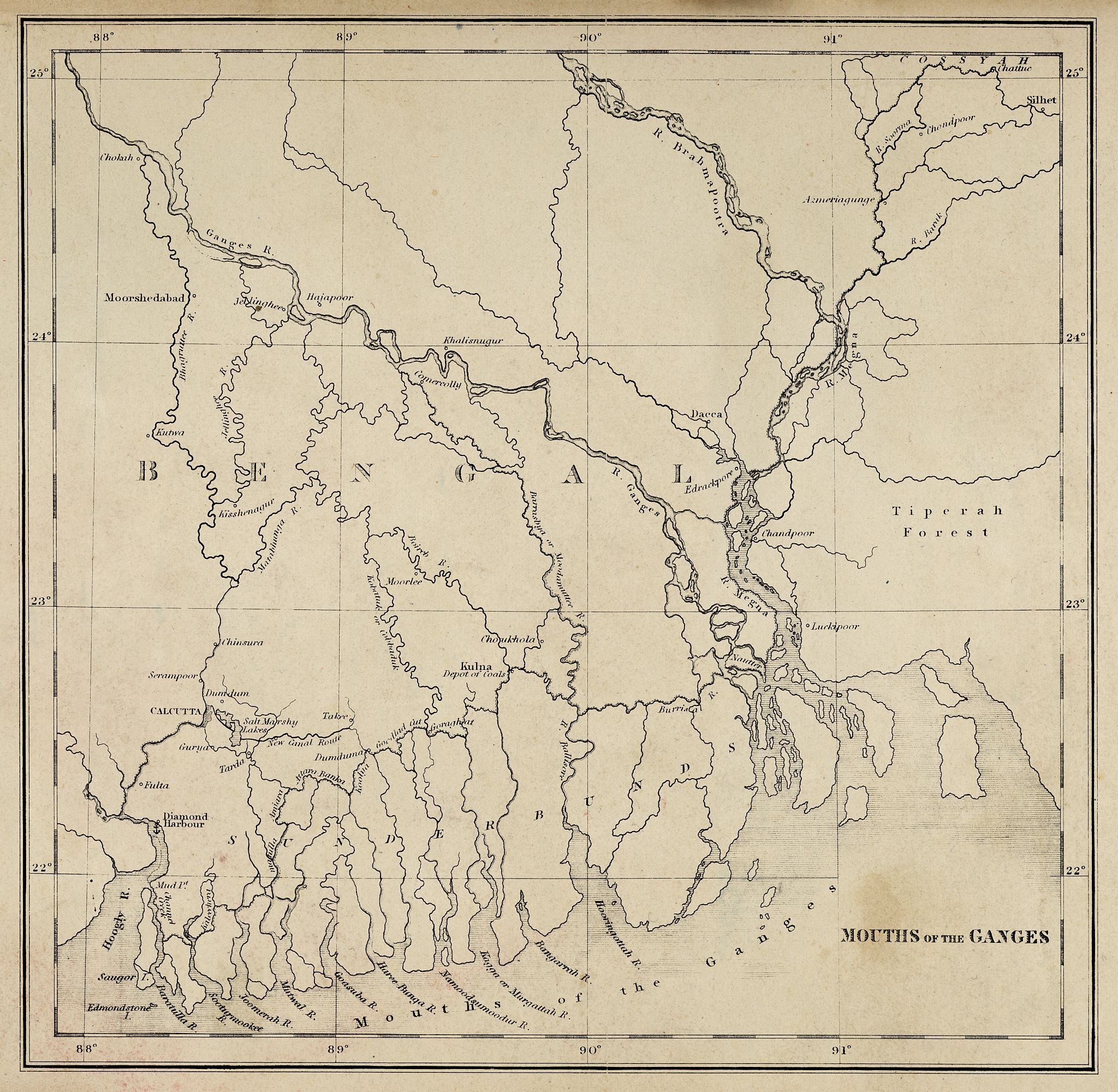 1842年《南京条约》开放的通商口岸：广州、厦门、福州、南京、上海