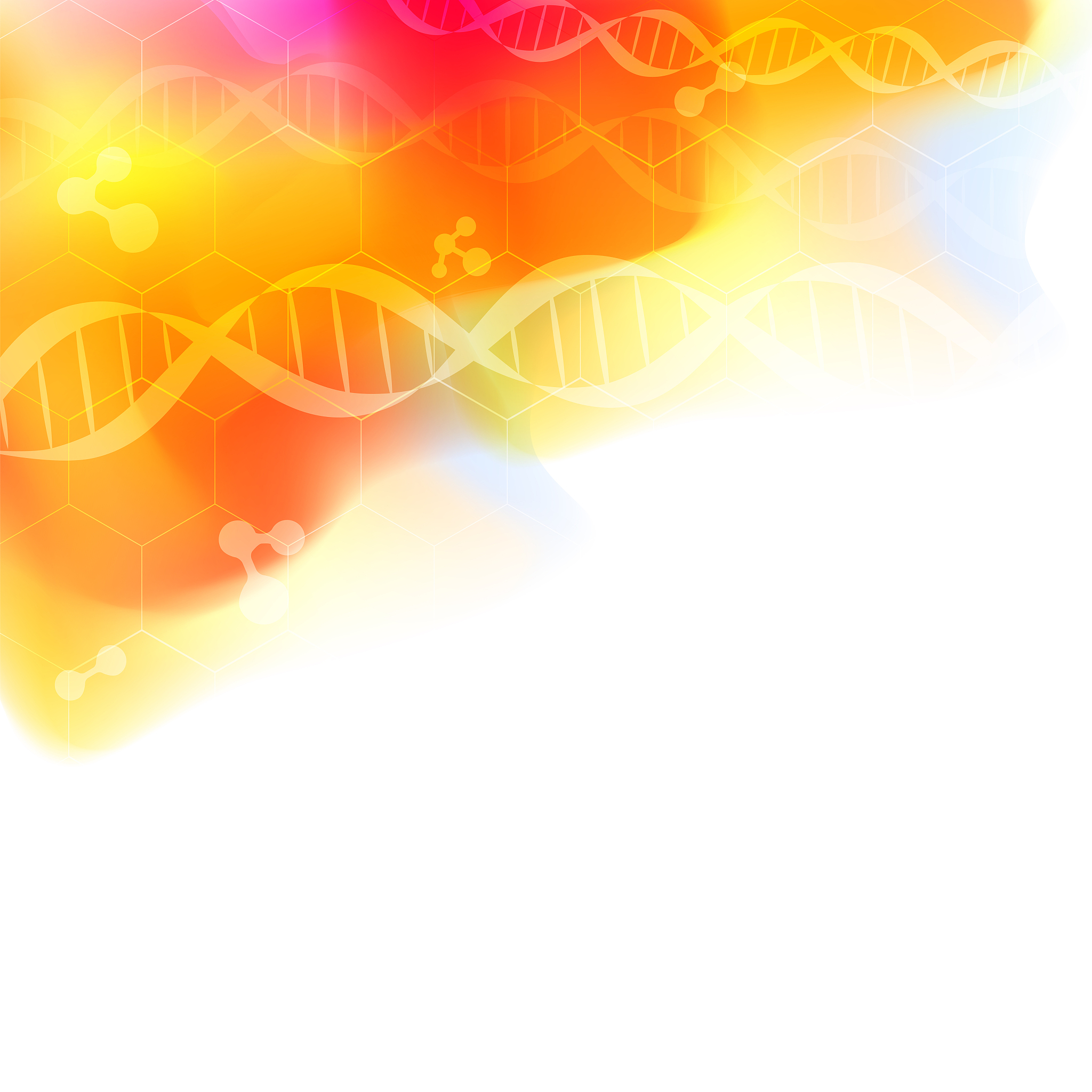 浙江音乐学院艺术与科技专业就业前景分析 - 未来发展趋势及职业规划