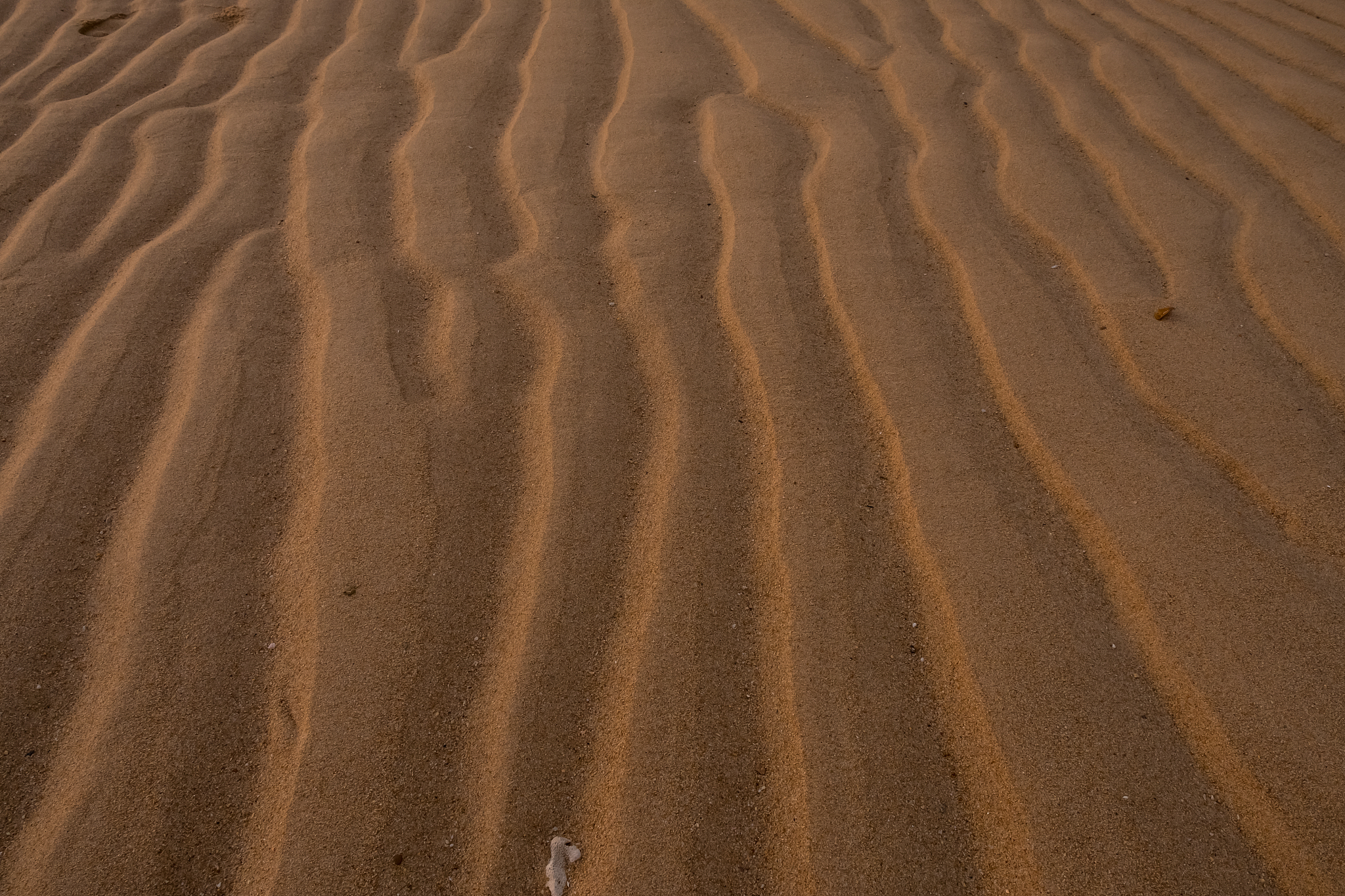 line of the sand