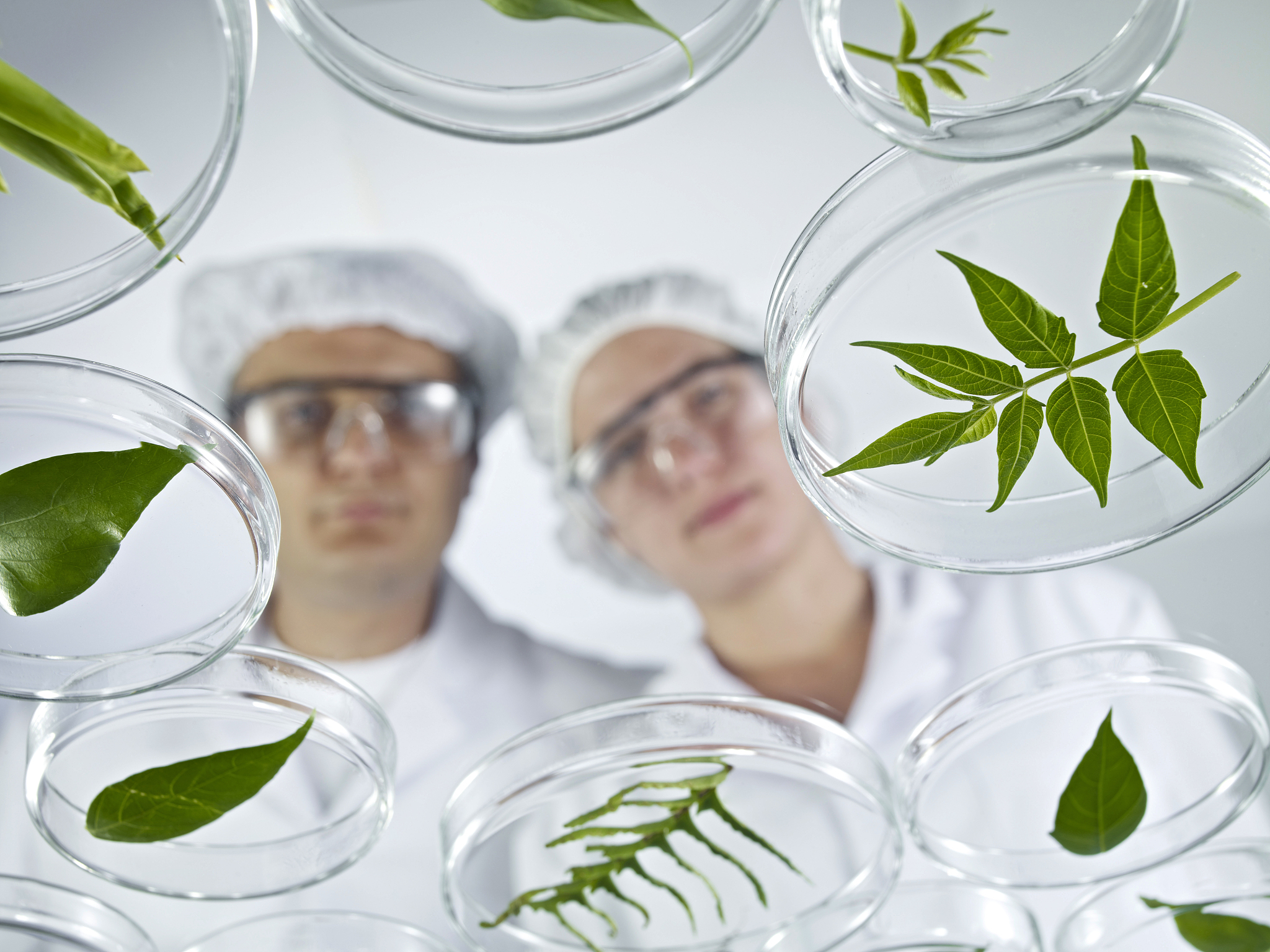 教育学对中国科学发展的推动