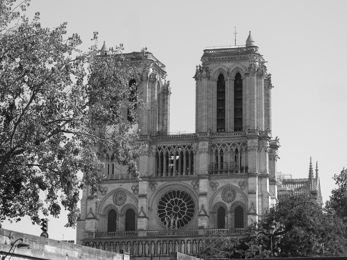 论文关于中西方建筑的比较以及对建筑史的体会并且对空间感的角度具体抓住展开并且字数在