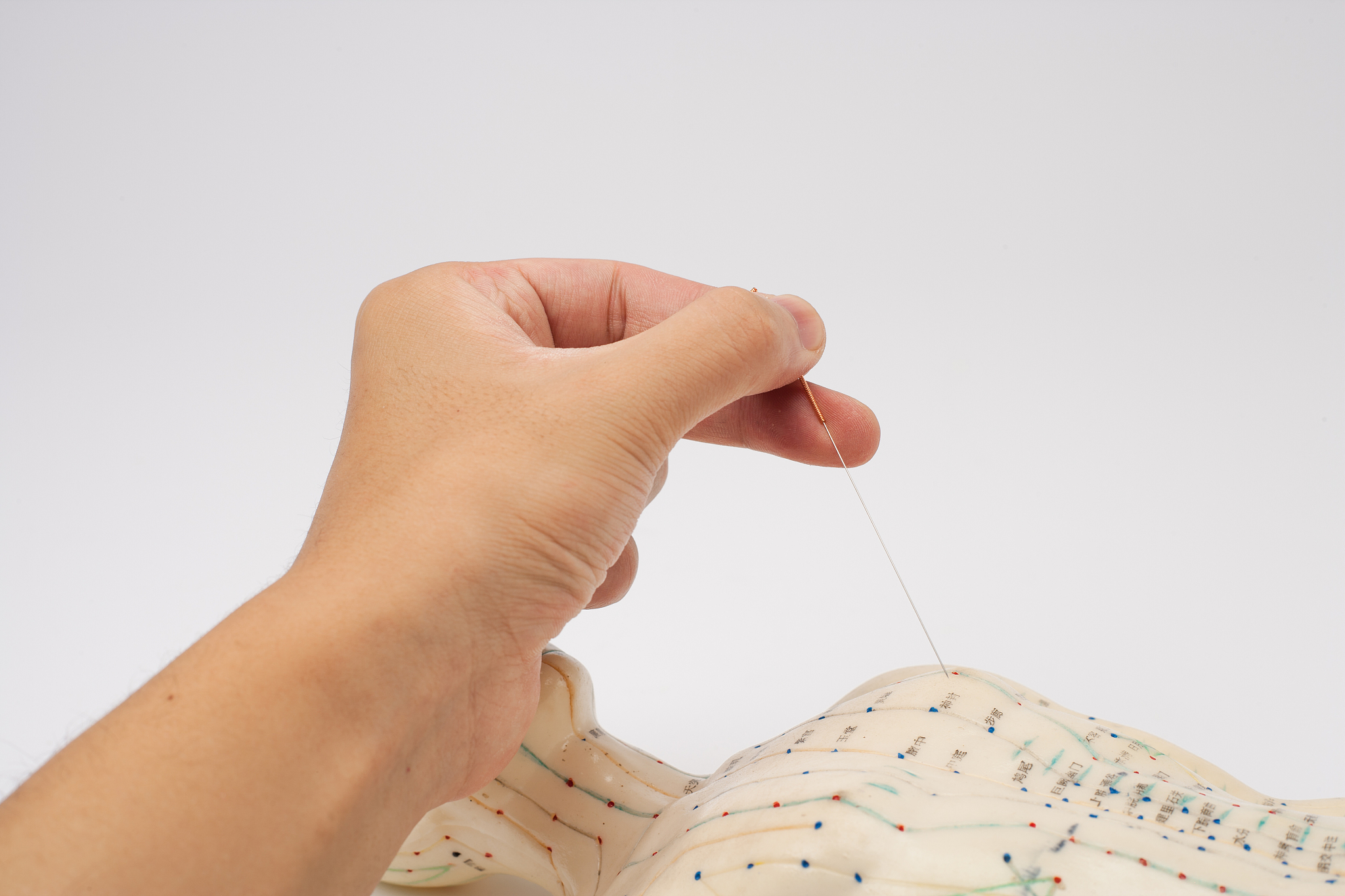 2023年云南省中医药中等普通中专招生简章:地址、专业、师资等信息 2023年云南省中医药中等普通中专招生简章:地址、专业、师资等信息