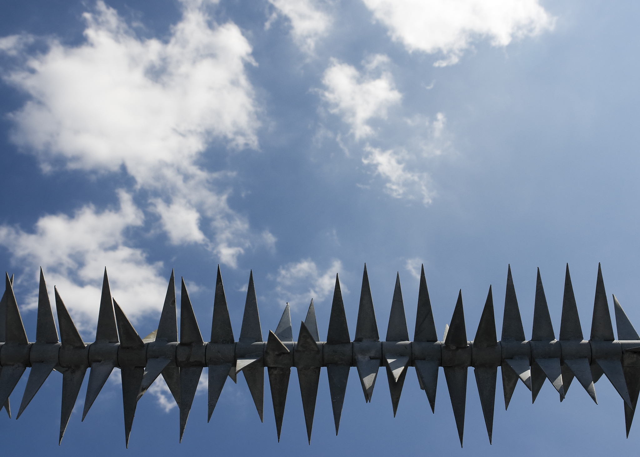 Borderless: Meaning, Examples and Applications