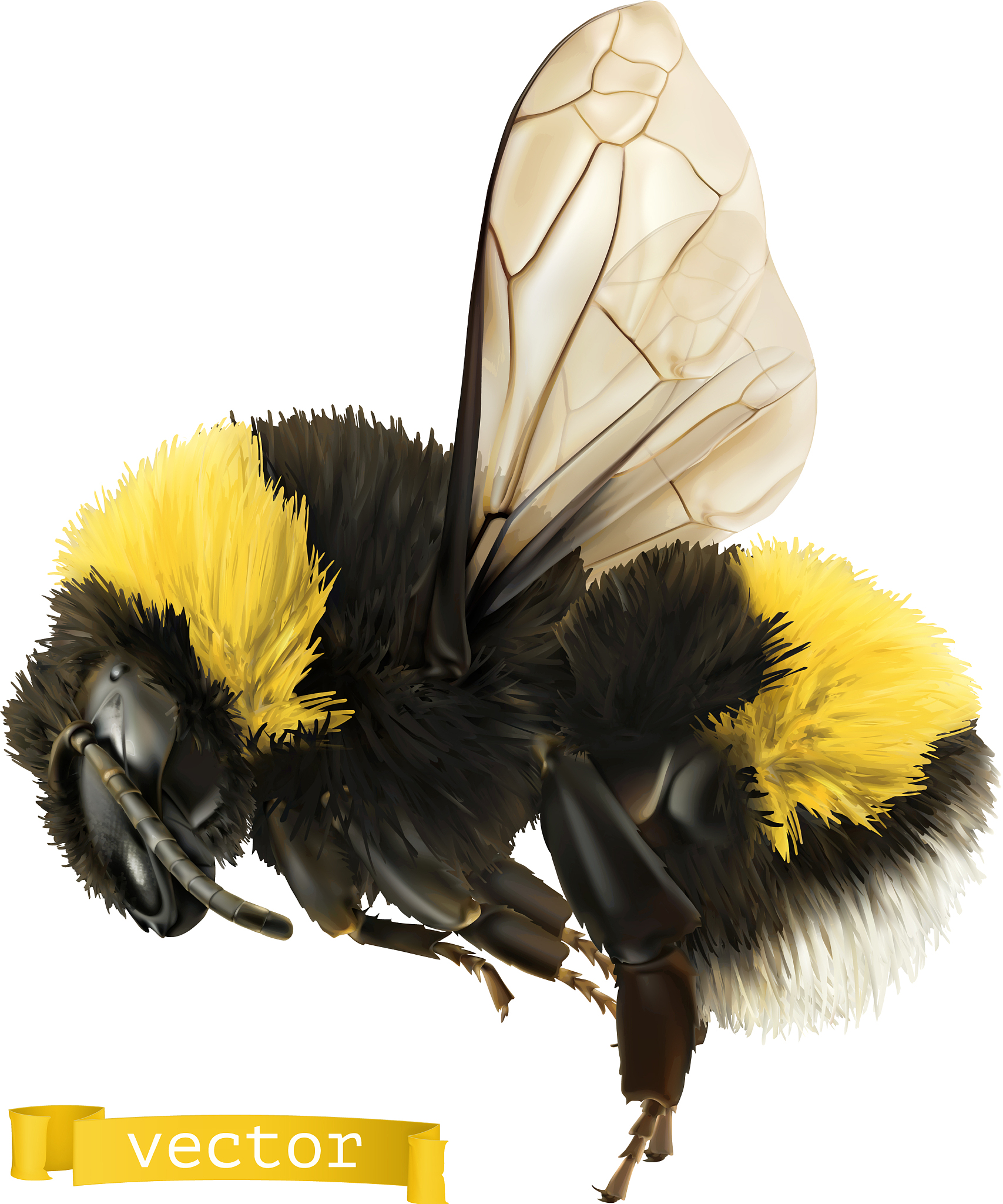 想扫描昆虫翅膀的三维模型推荐用哪个软件