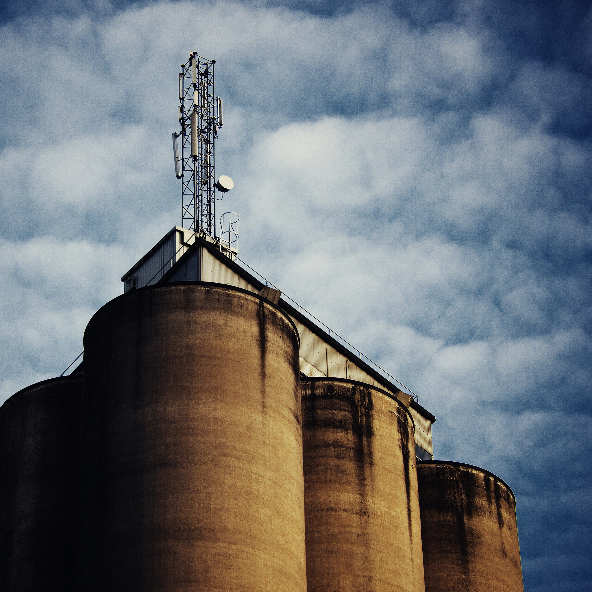 Damaged Soybeans Stored in Silo 6, Inventory Coming Soon