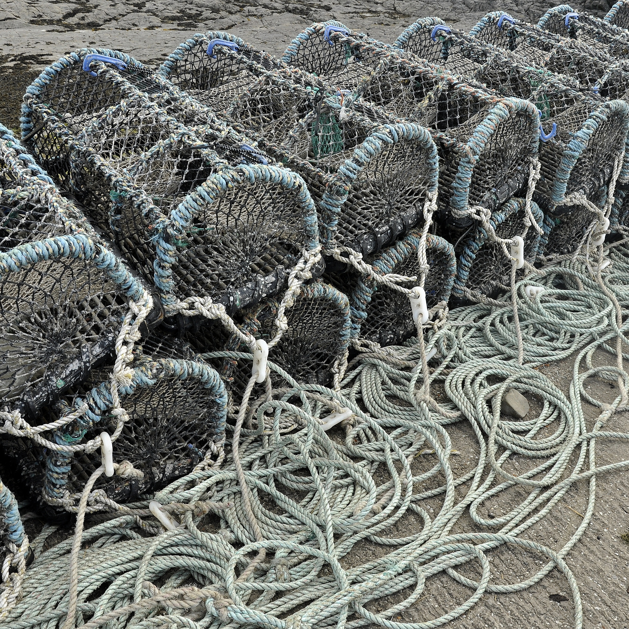 氧化锌纳米线尖端有磁性吗？揭秘真相！