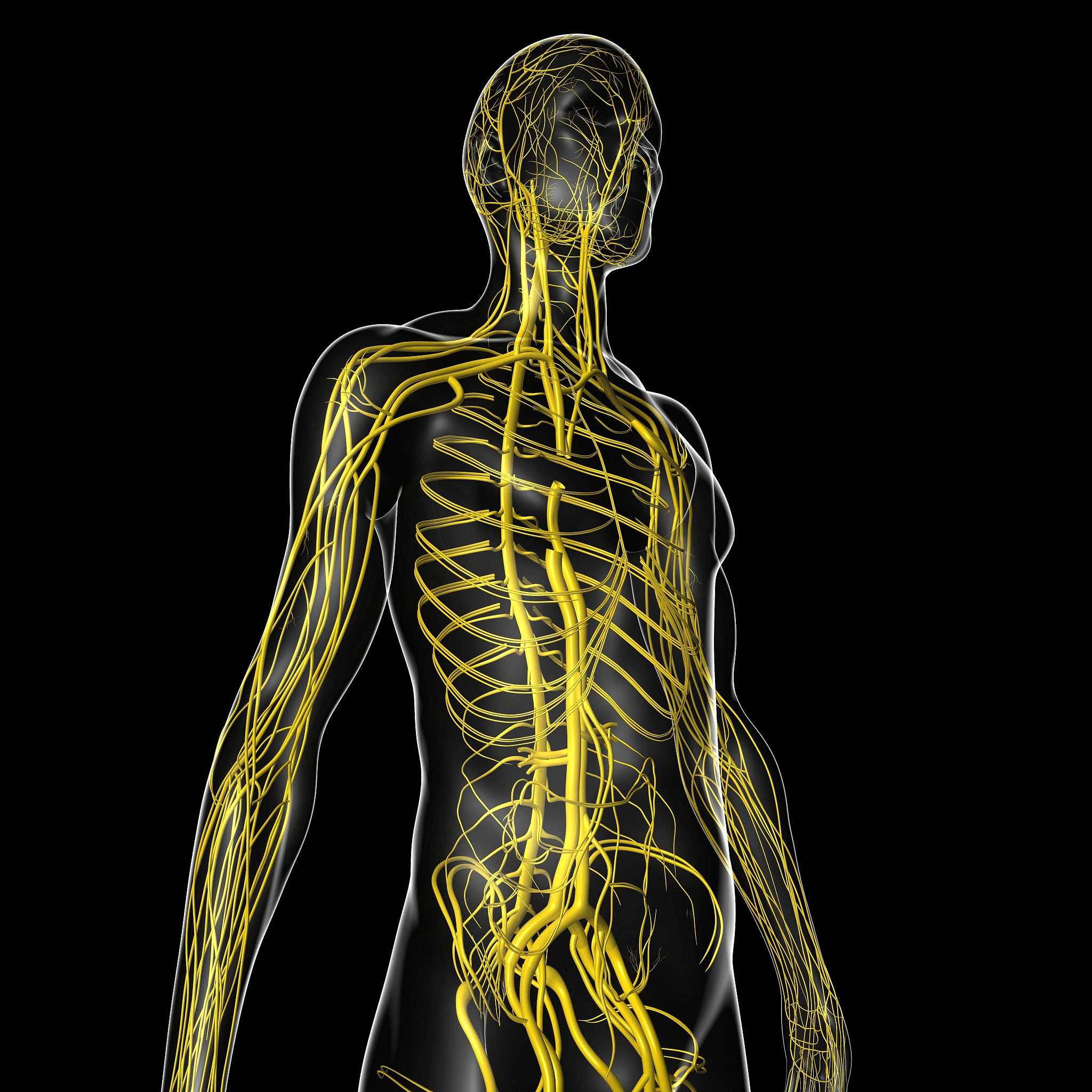 血液透析治疗尿毒症的局限性及心血管风险