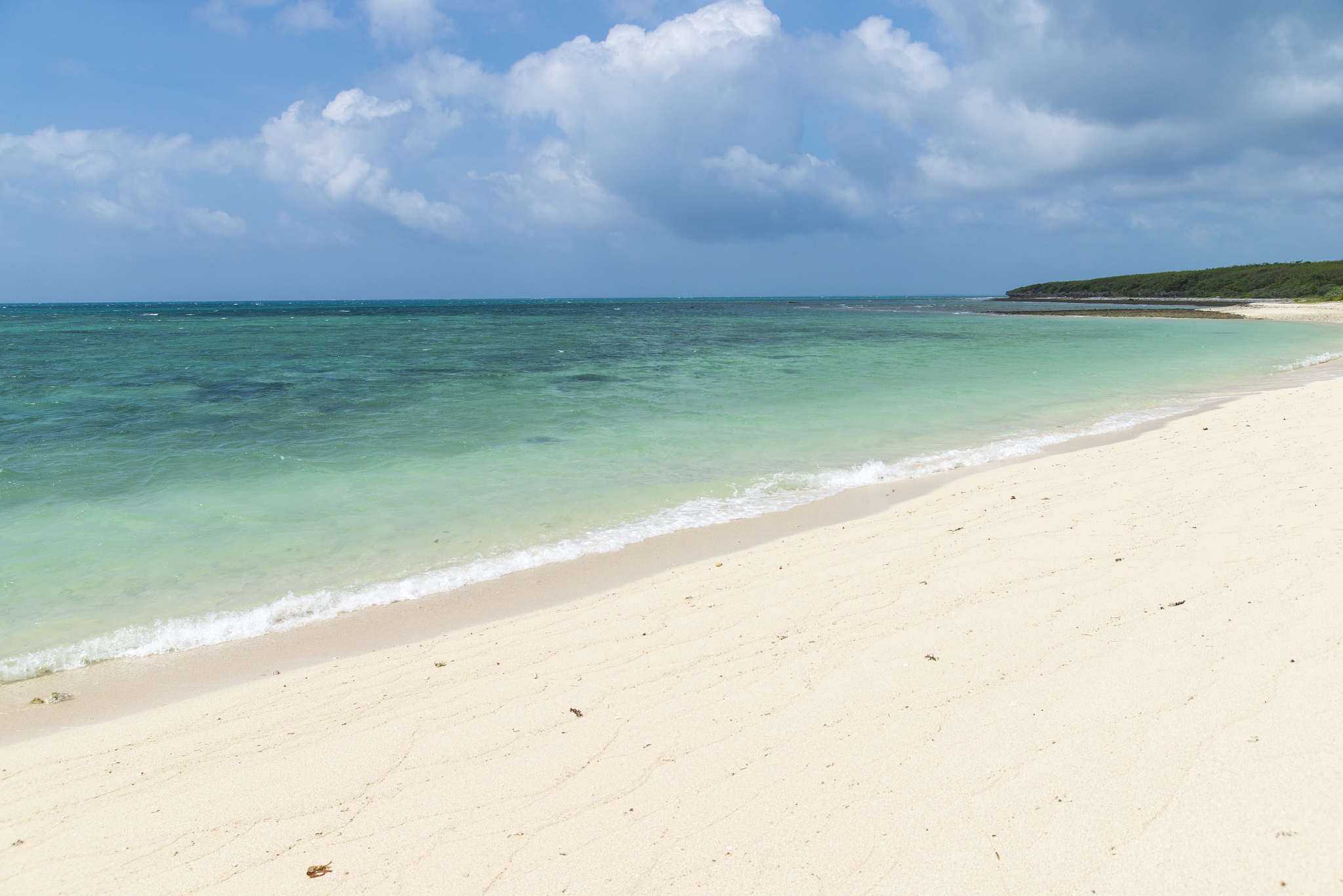 AI“一键脱衣”事件警钟：网络安全与隐私保护刻不容缓