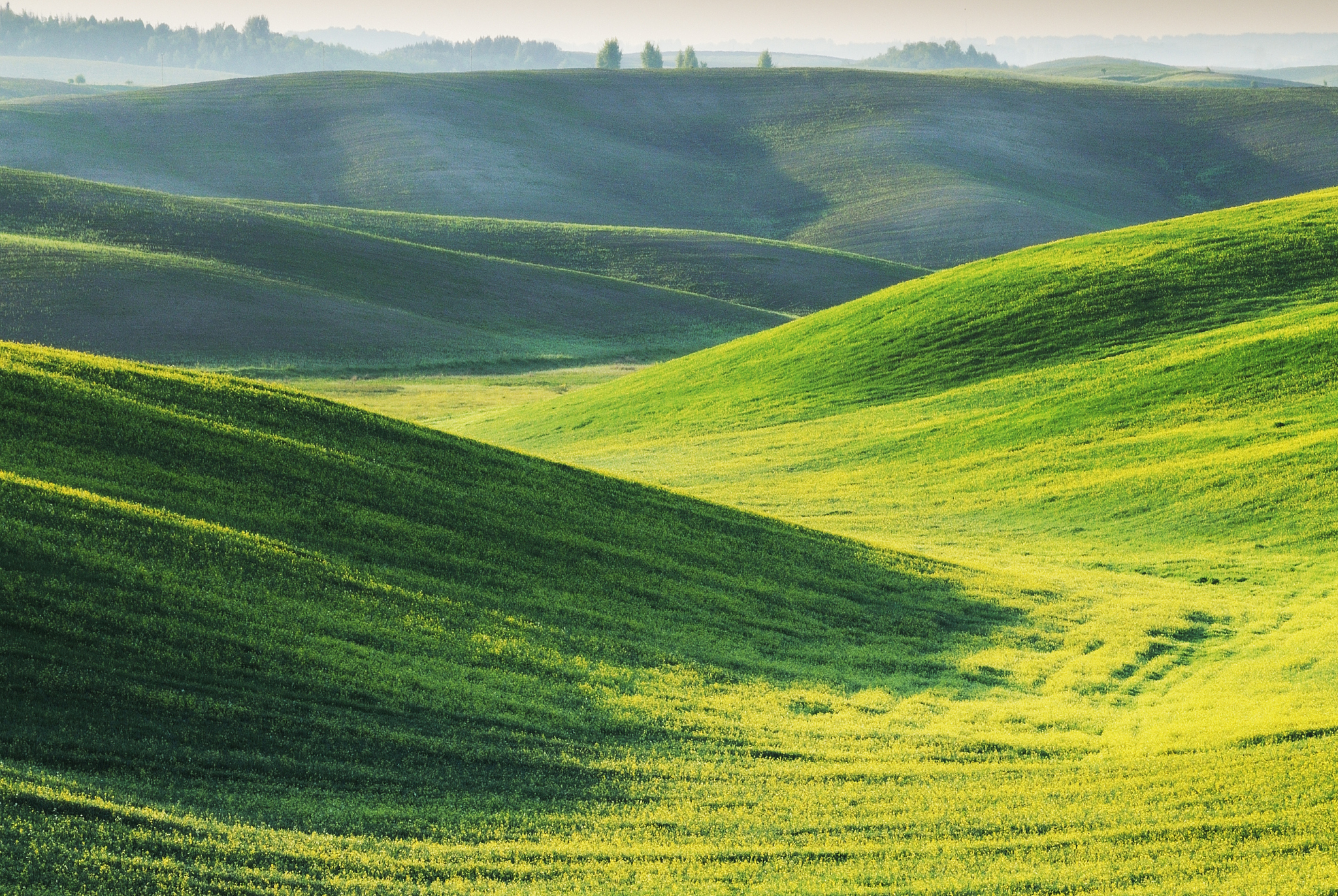 field