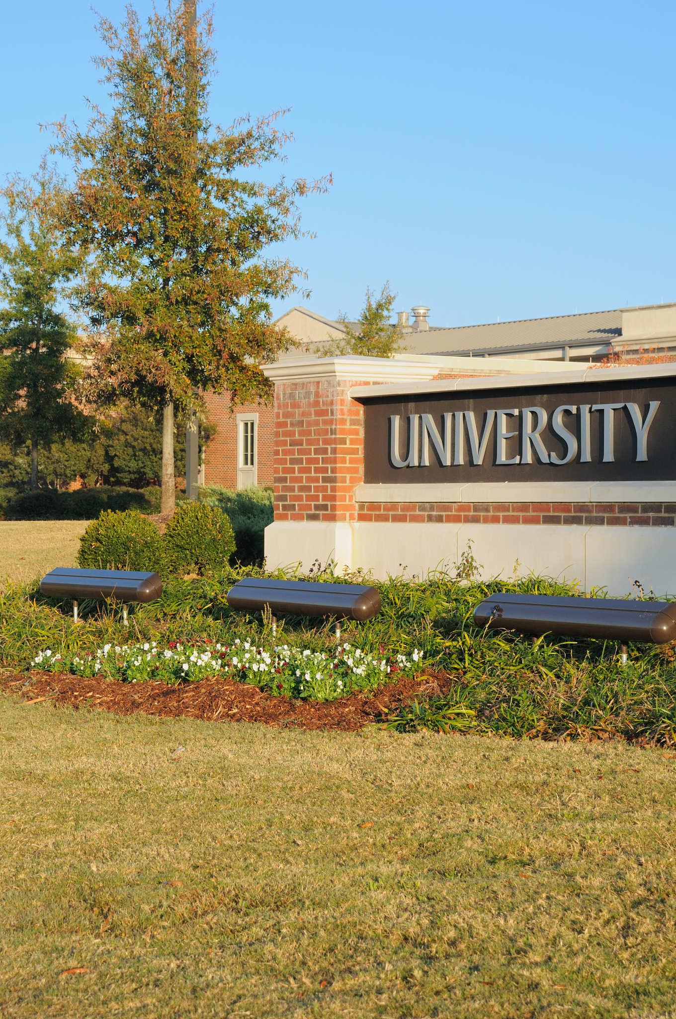 university sign with copy space